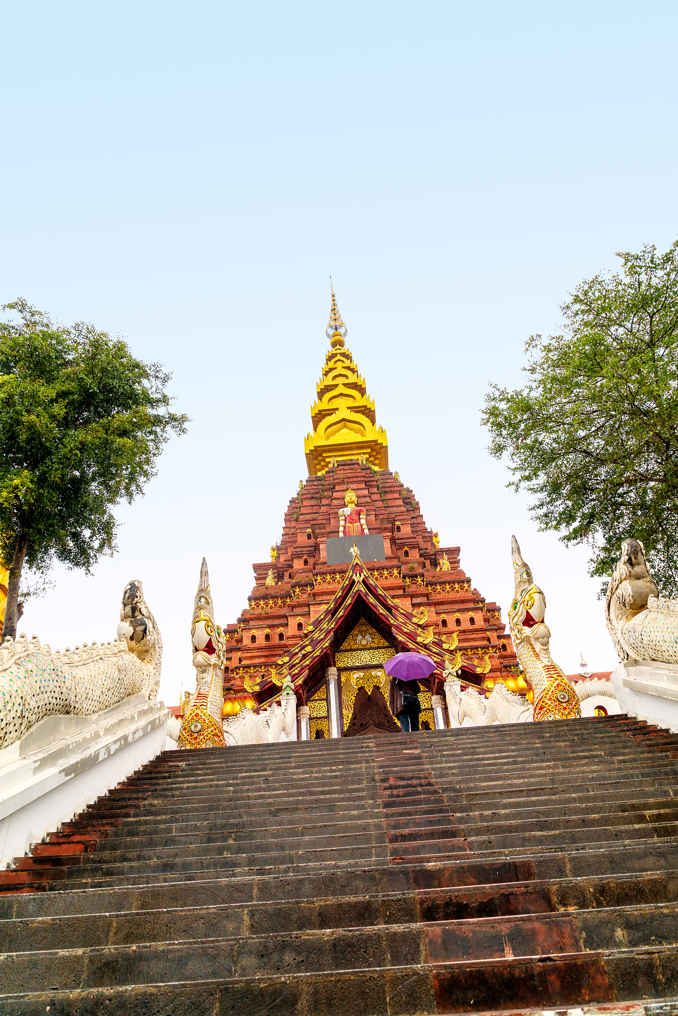 西双版纳职业技术学校地址 - 云南省唯一职业教育学校