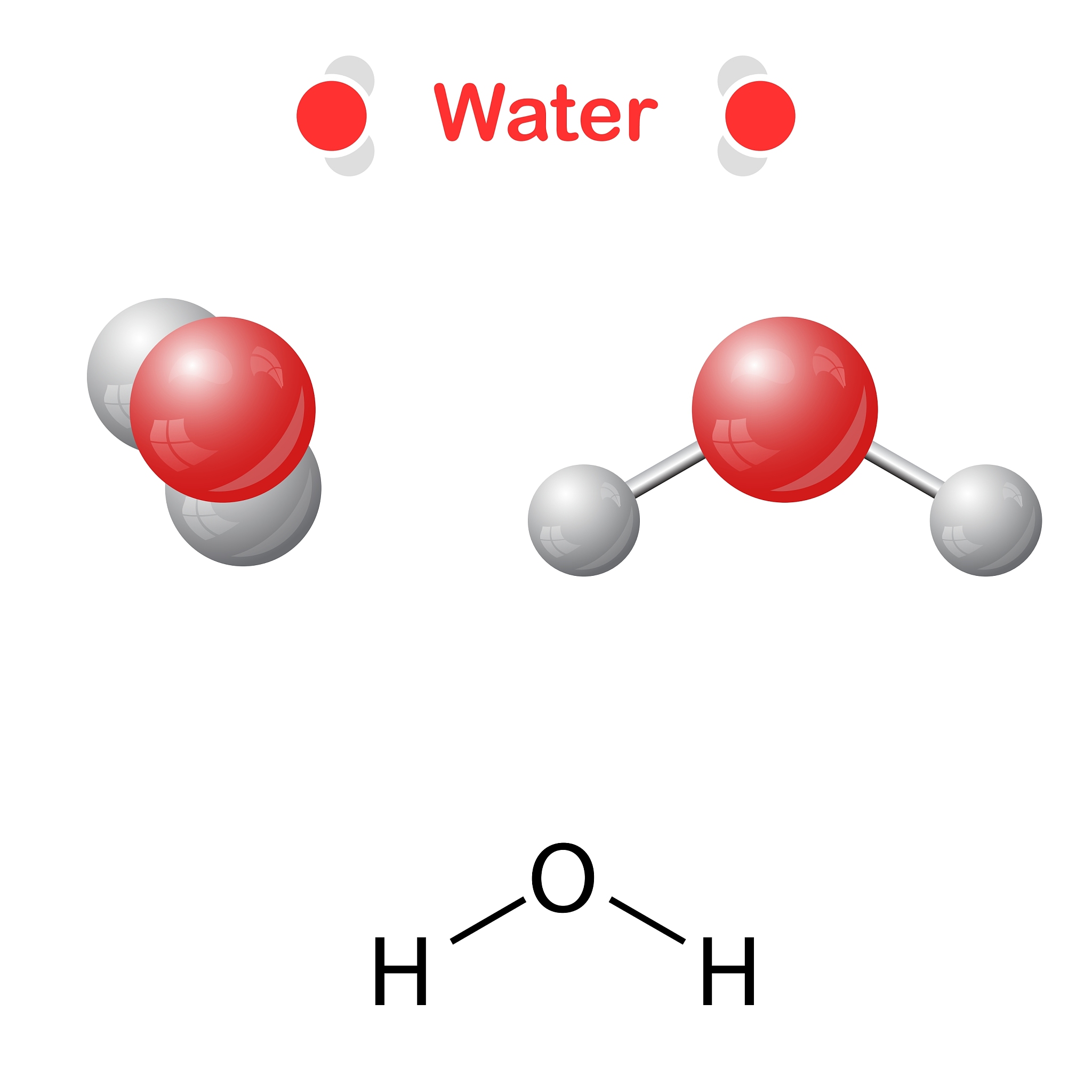 从分子结构层面分析水轮酚的浓度对成膜的影响