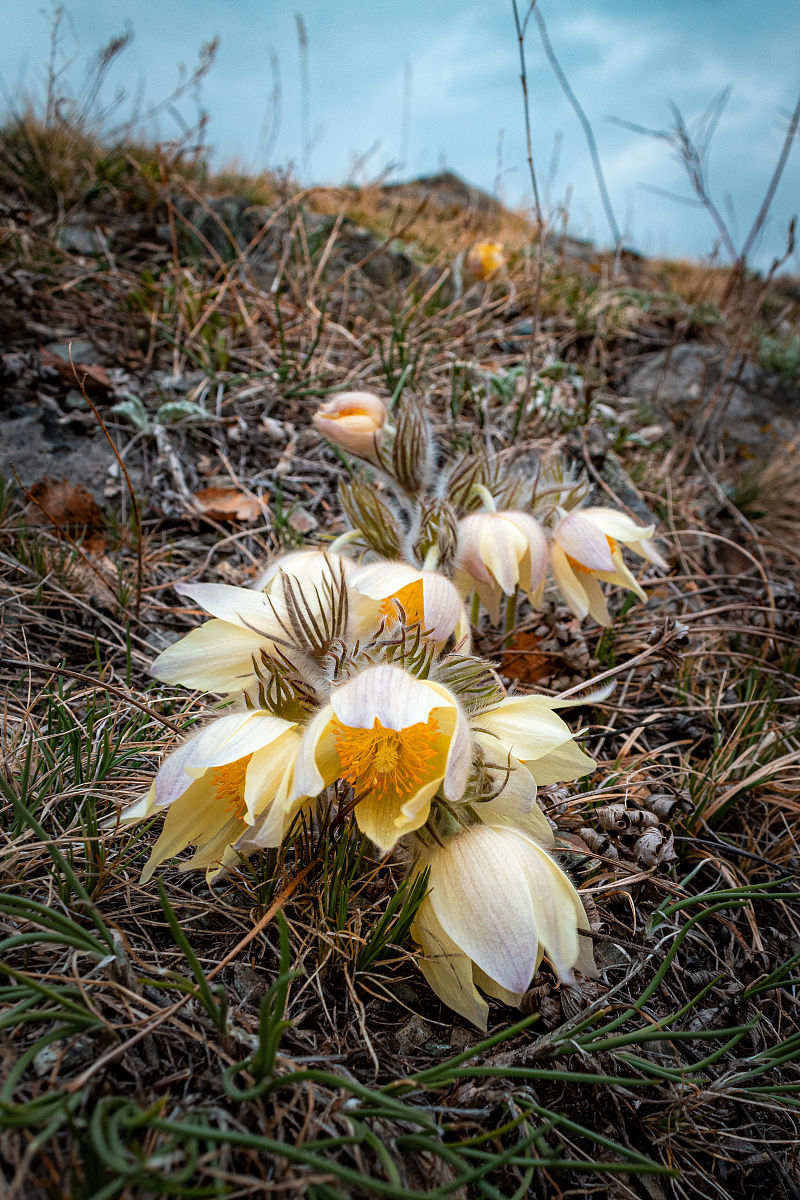 三下一上：含义解读及应用场景