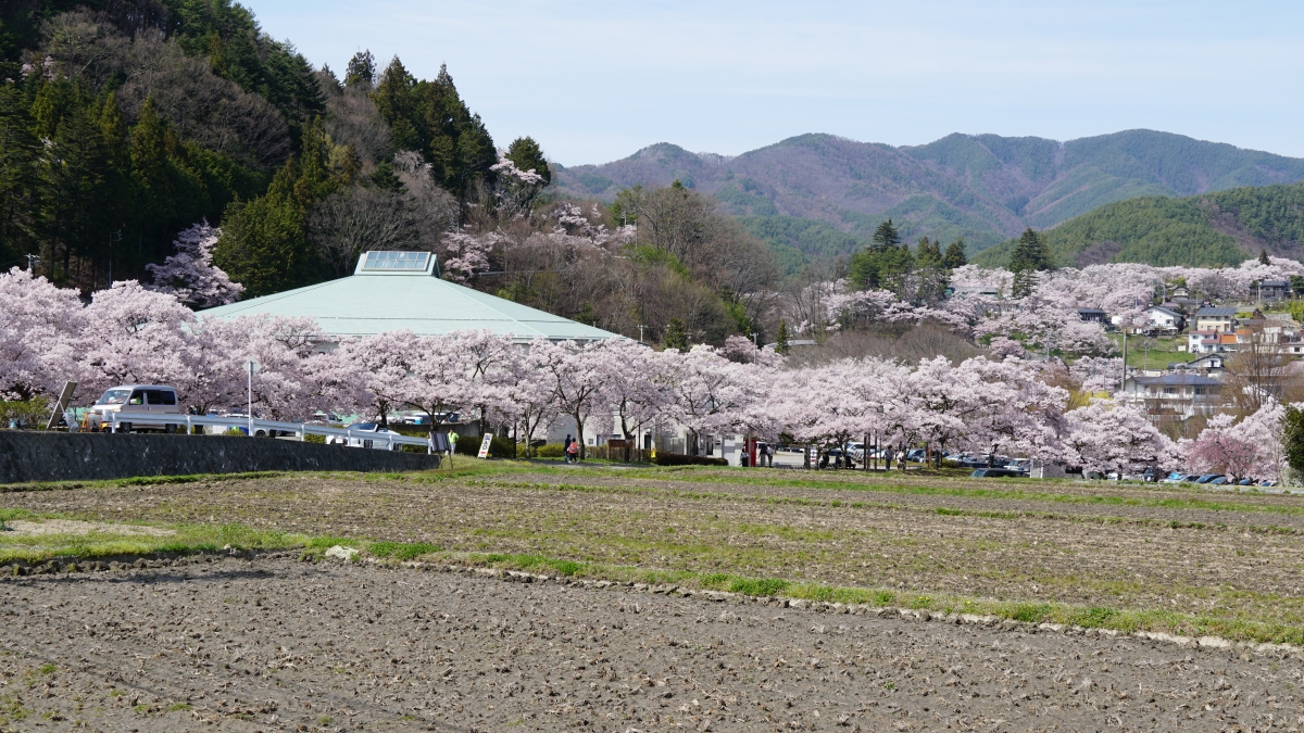 日本长野:一次旅行,双重享受!