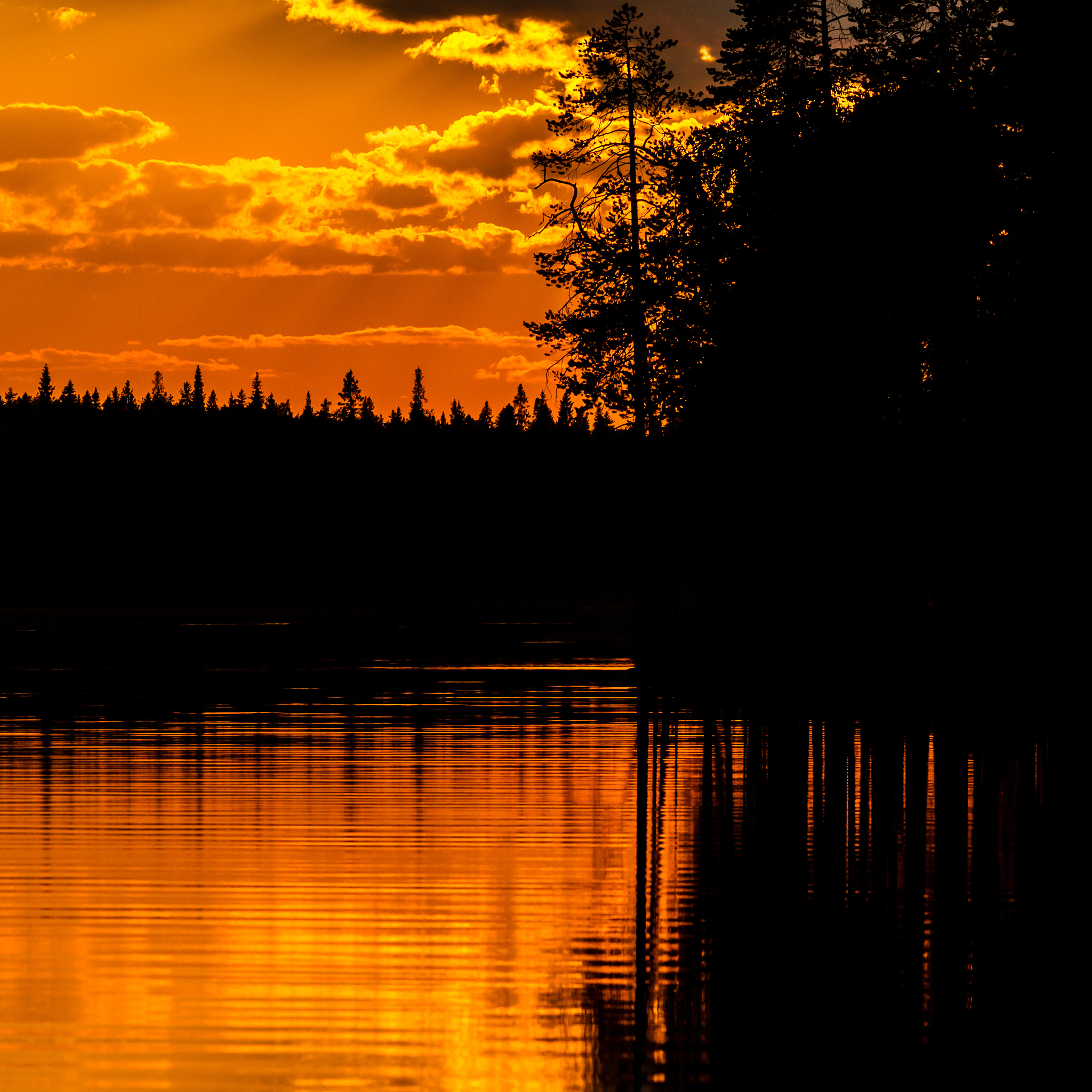 Sunset, Wild Duck, Autumn Water: A Poem's Scenic Beauty