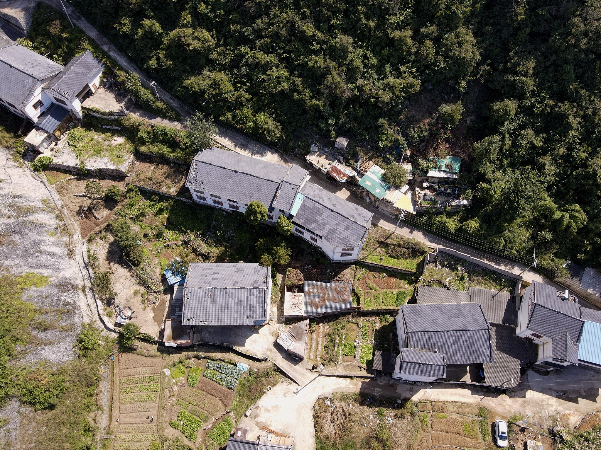 探秘明朝乐清县左原垟岙村：历史、地理与文化