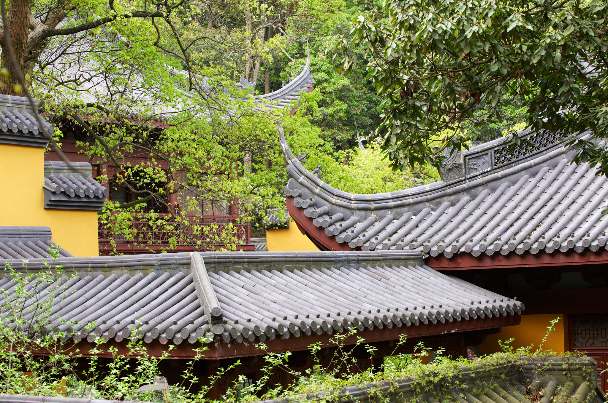 lingyin temple