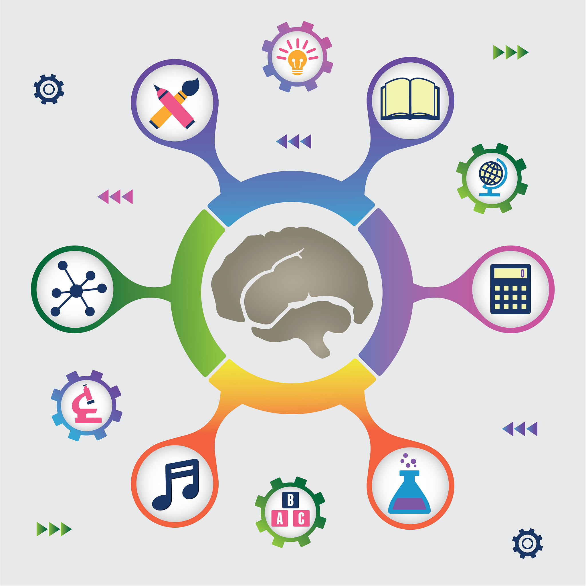 遗传决定智力？观点解读与科学研究