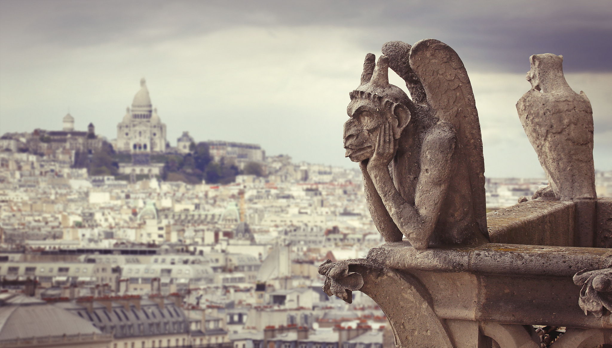 le stryge chimera overlooks paris from notre dame