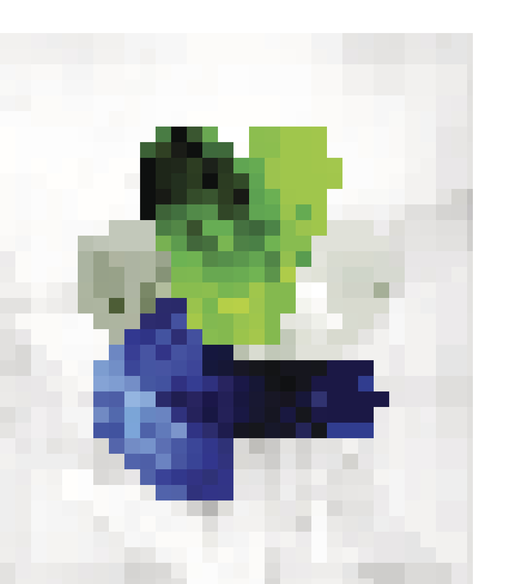 请帮我的我的世界游戏胸甲取一个名字