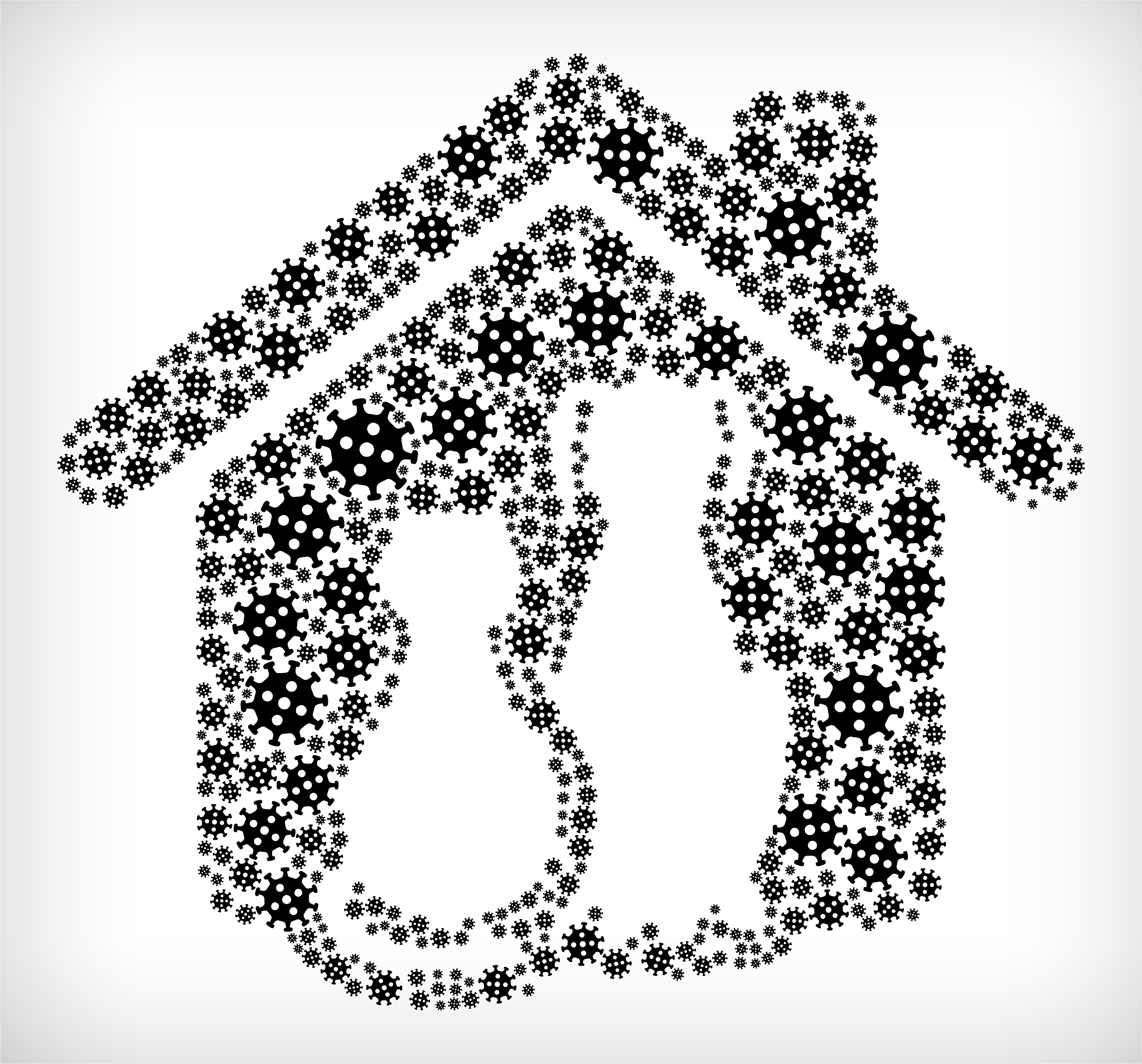 构建猫泛白细胞减少症病毒感染性克隆体及其应用