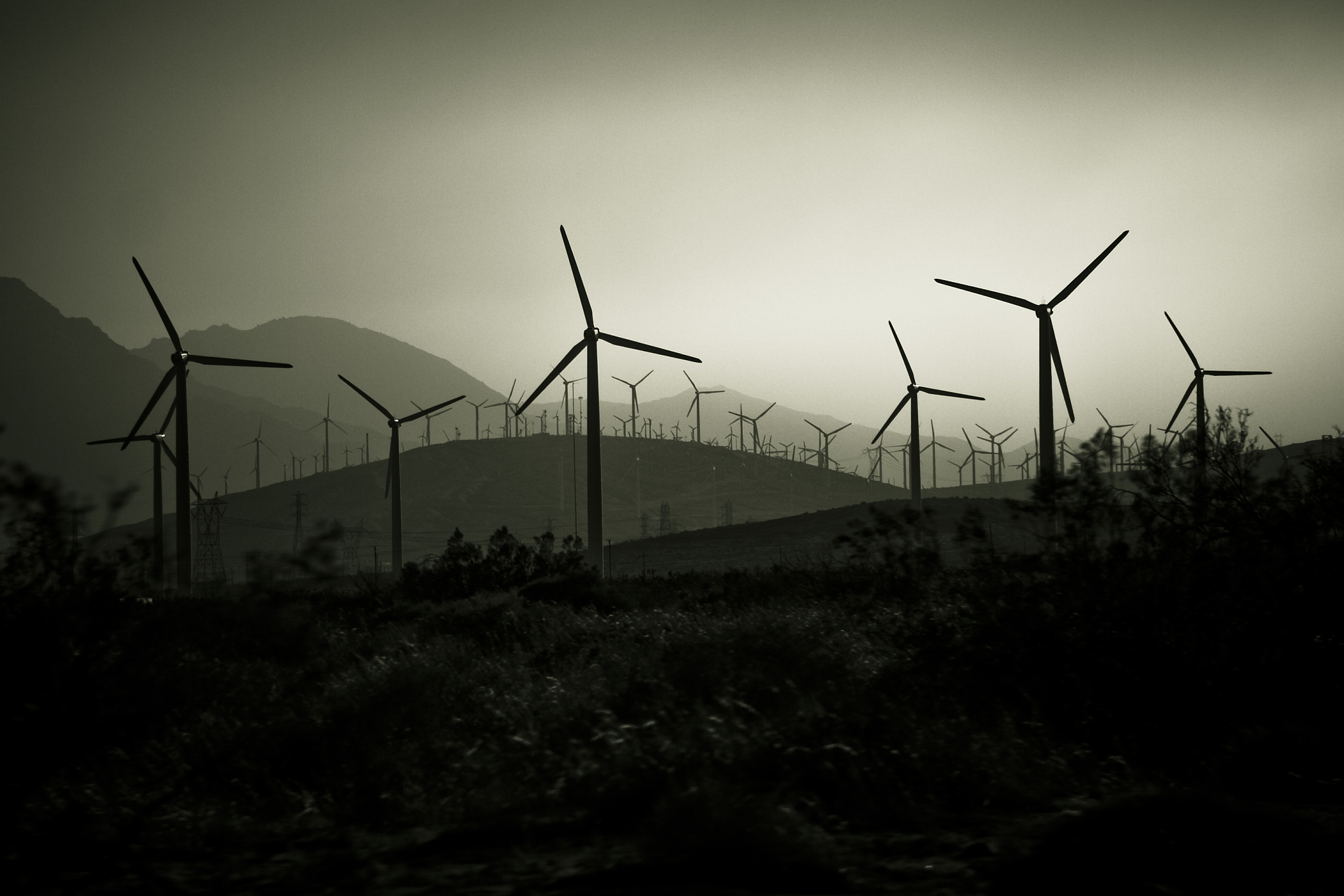 资源环境与城市管理专科课程有哪些？