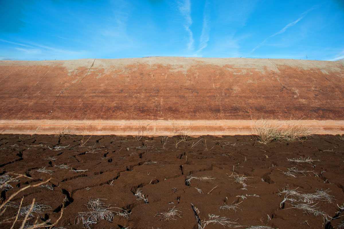 盐碱地植物的耐盐性：地下水上升带来的盐分积累