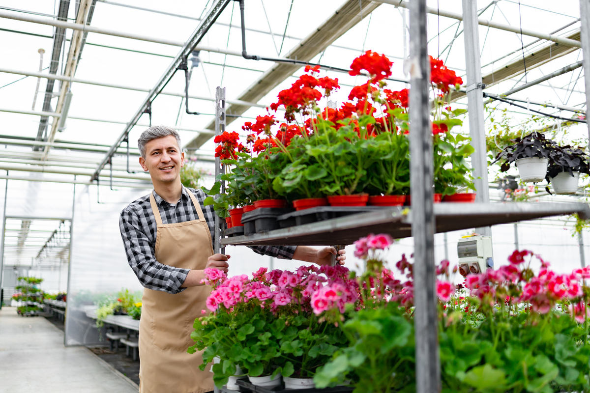 国内外花卉培育现状与发展趋势：品种丰富、技术革新、市场需求旺盛