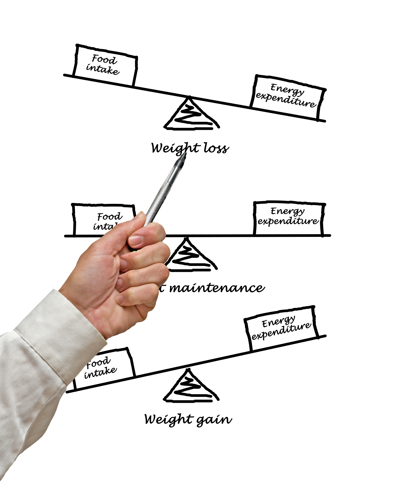 balance between energy intake and energy expenditure