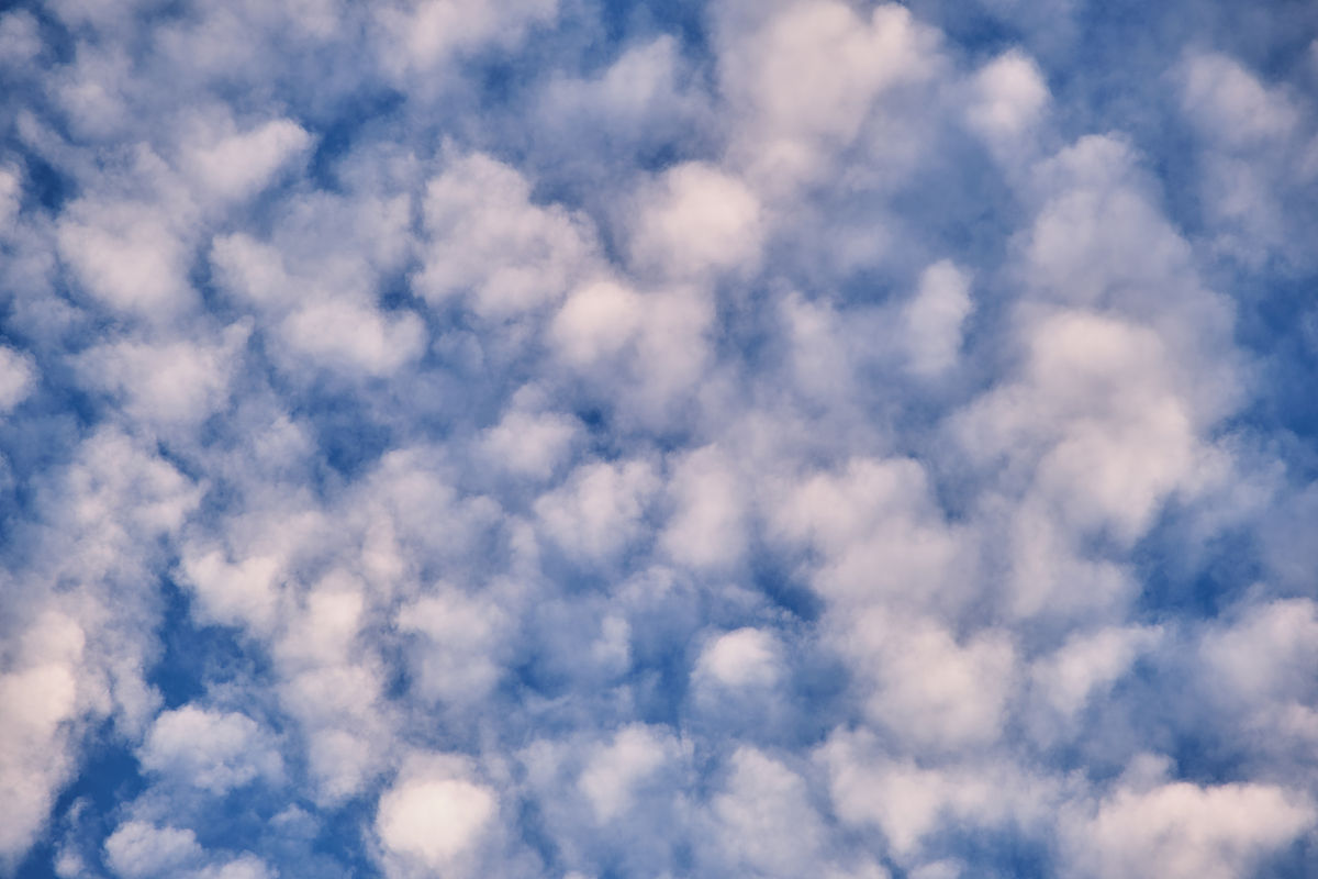 《云朵上的学校》读后感：让学习成为一种享受