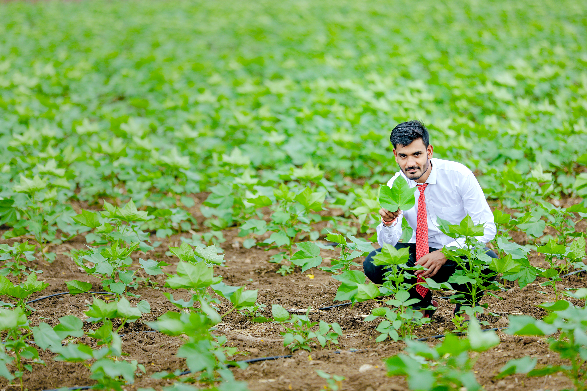 天水农业学校2022年招生专业介绍：农学、植物保护、园艺等