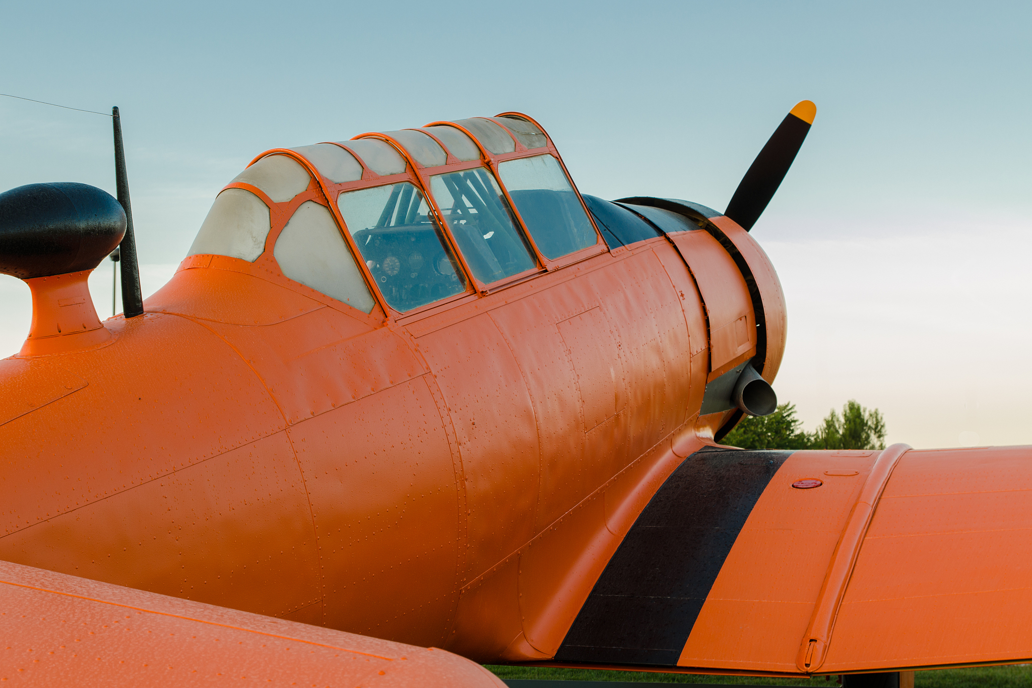 adventure in the sky, old airplane, north american t-6g texan