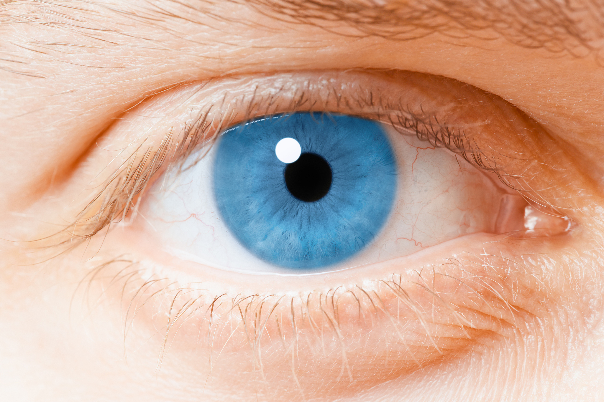 human eye close up