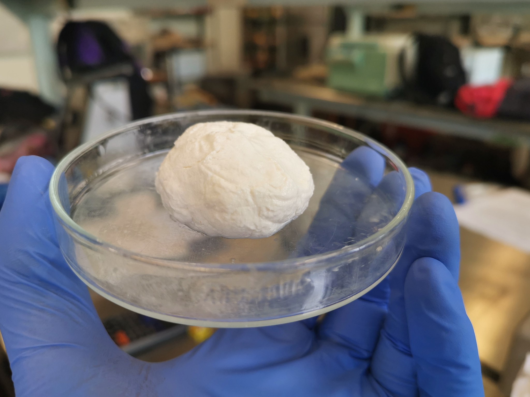 上海理工大学食品质量与安全专业怎么样？优势、发展前景及课程解析