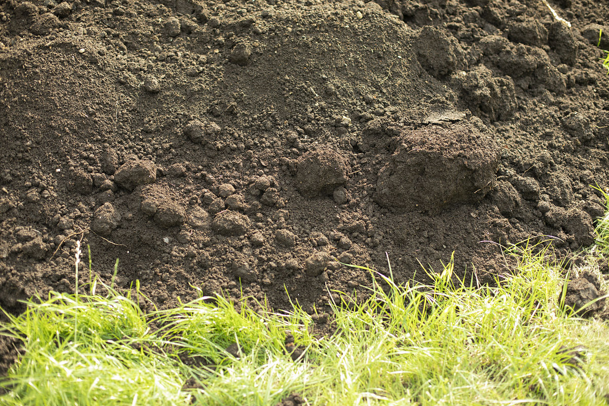 土壤铁氧化物对磷的含量的影响 400字