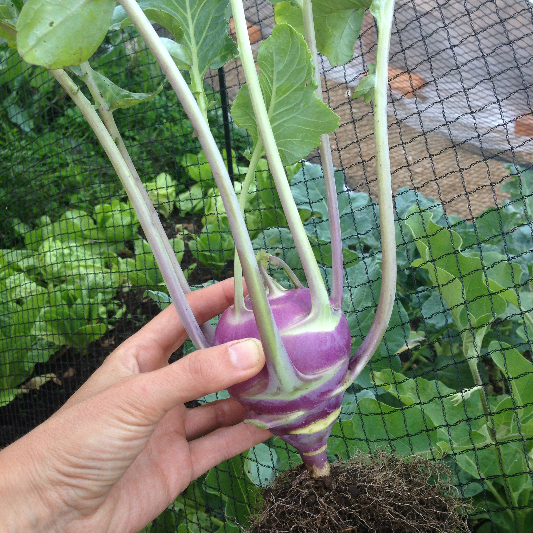 宁夏中等学校现代农艺技术专业就业前景广阔