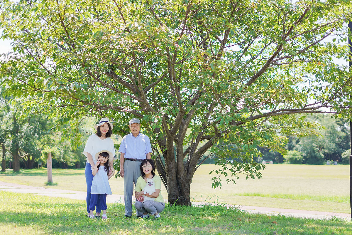 谁是你的爸爸？ - 探索你的血统
