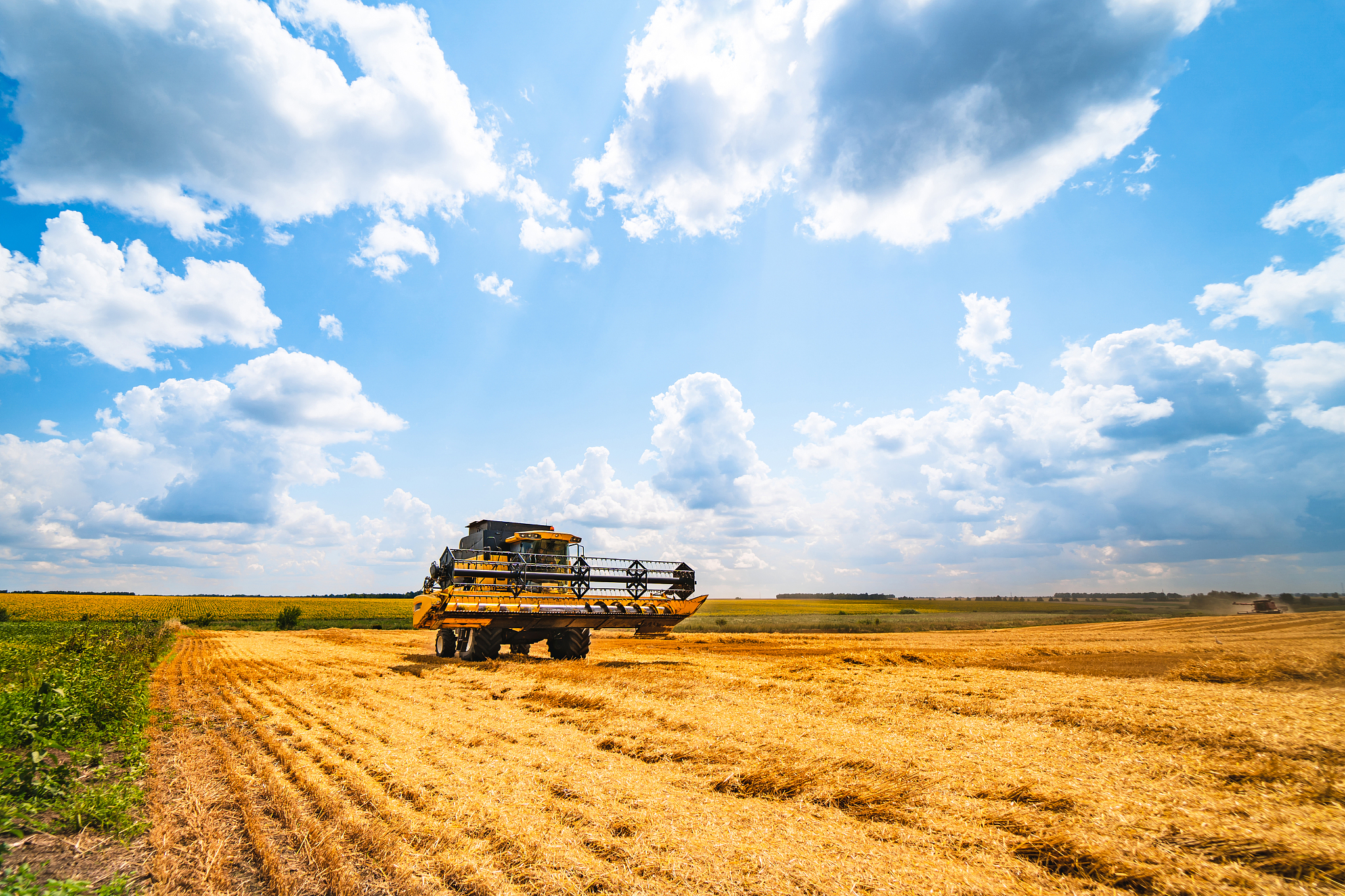 云南省曲靖农校2019年五年制专业计划