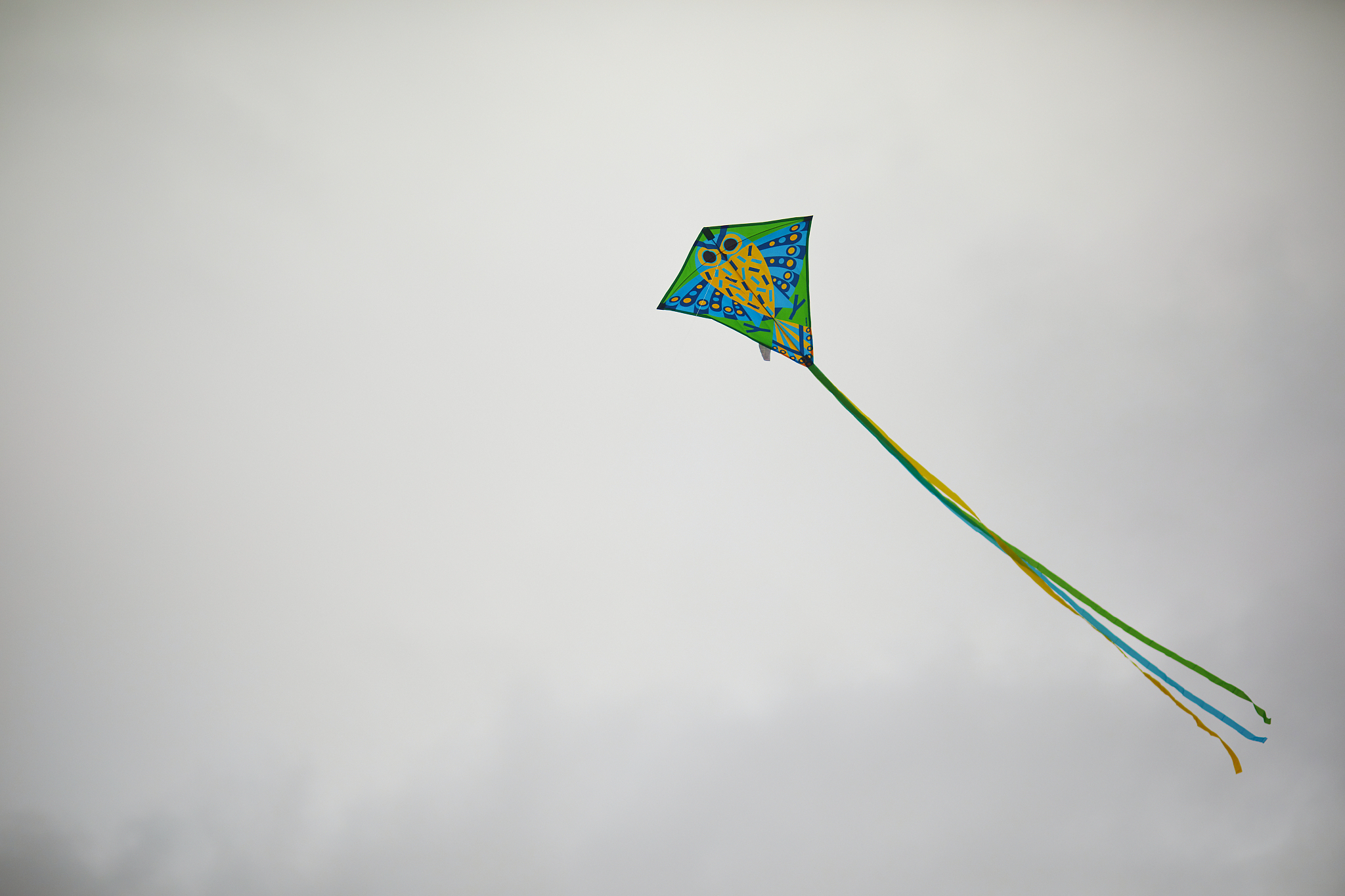flying kite in the grey sky
