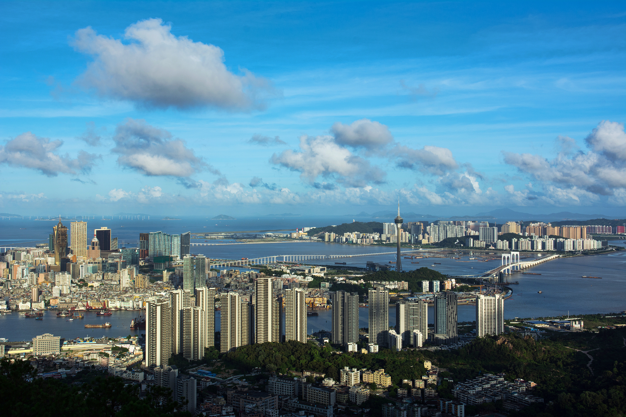 粤港澳大湾区对比世界三大湾区：企业数量、人口和面积