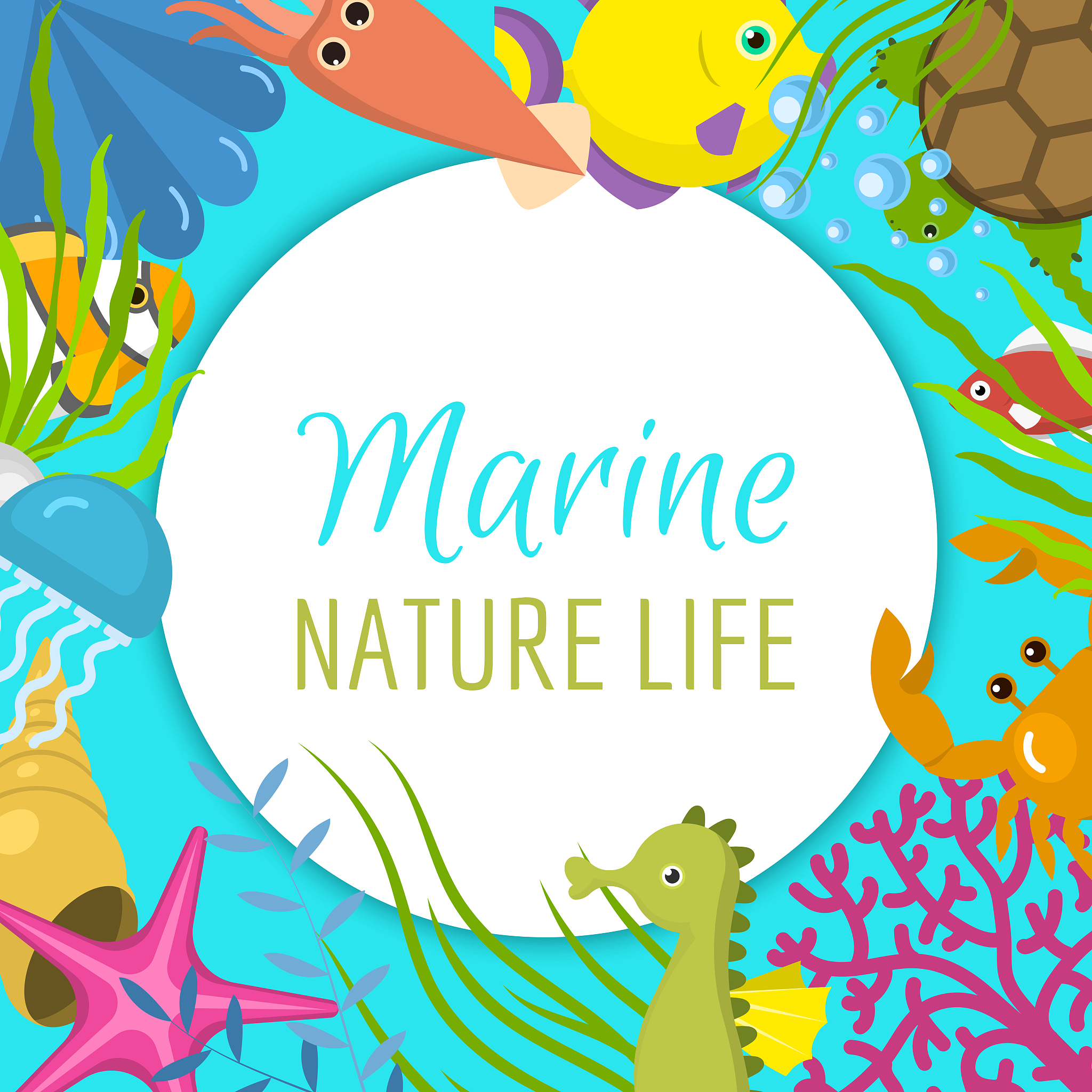 marine life frame vector illustration. it's summer time banner, 