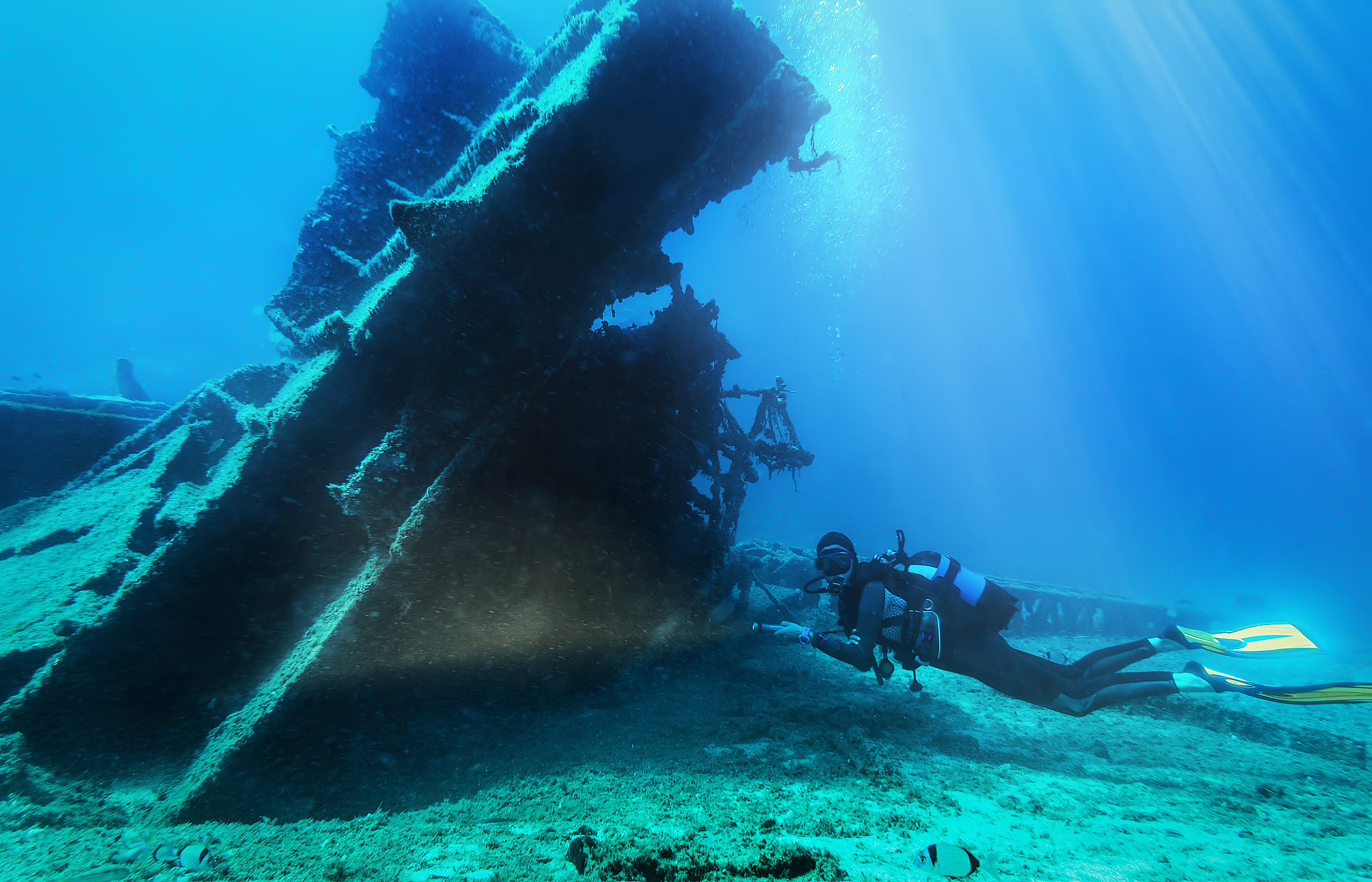 woman scuba diving in sea