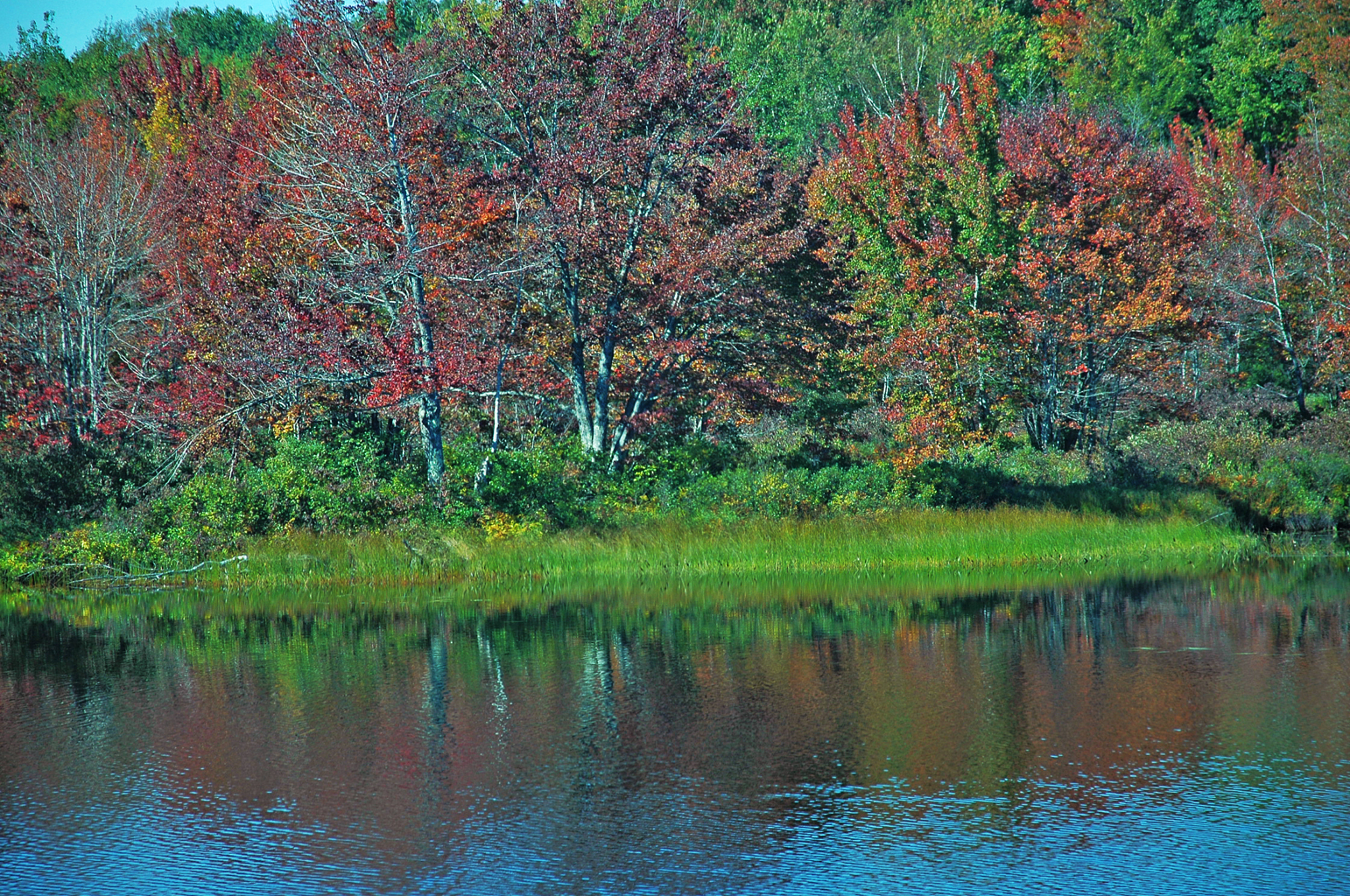 重庆海联职业技术学院定制旅行管理与服务专业好不好发展前景怎样
