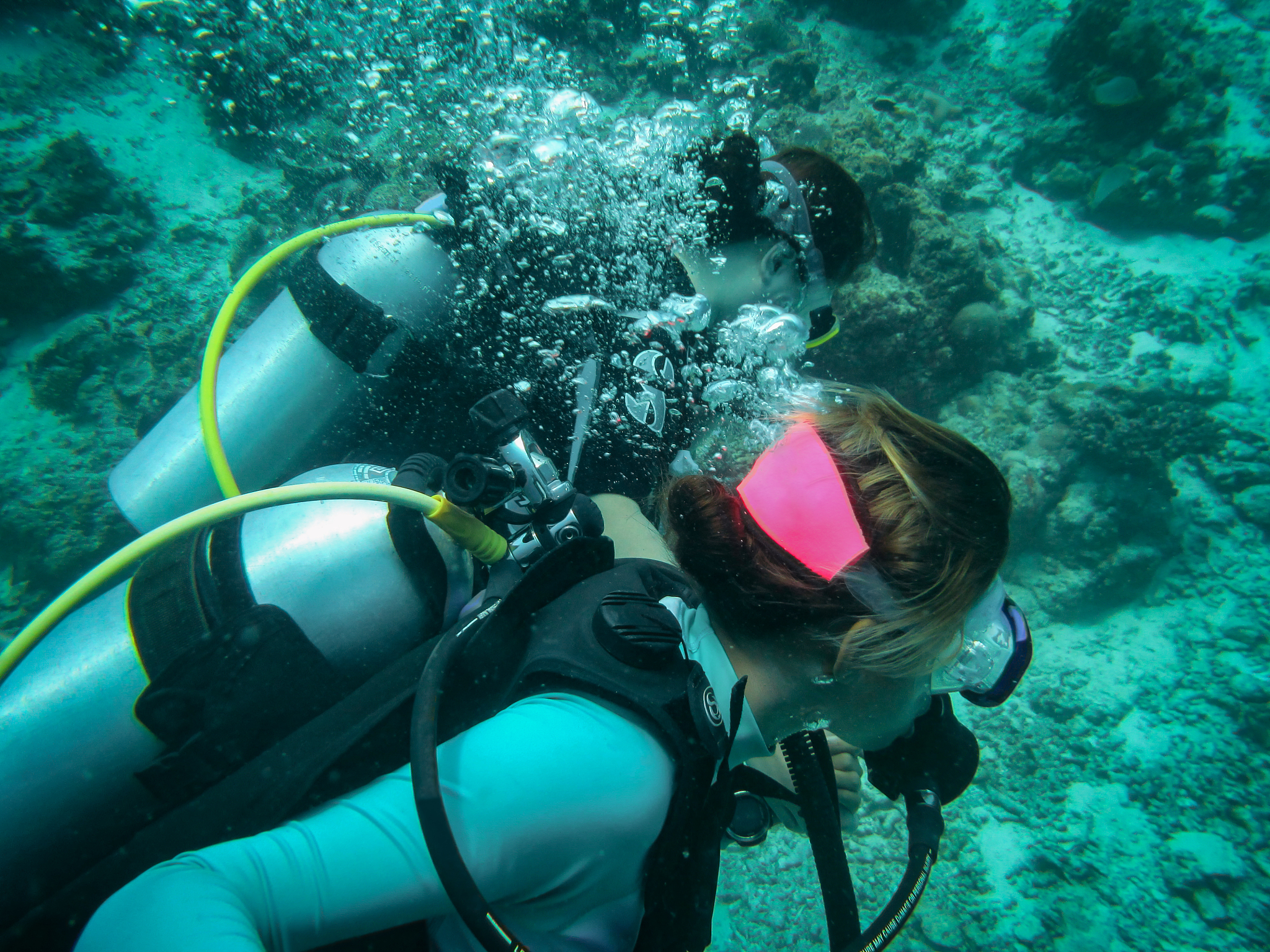 广州潜水学校热门专业推荐 - 2022年最火专业