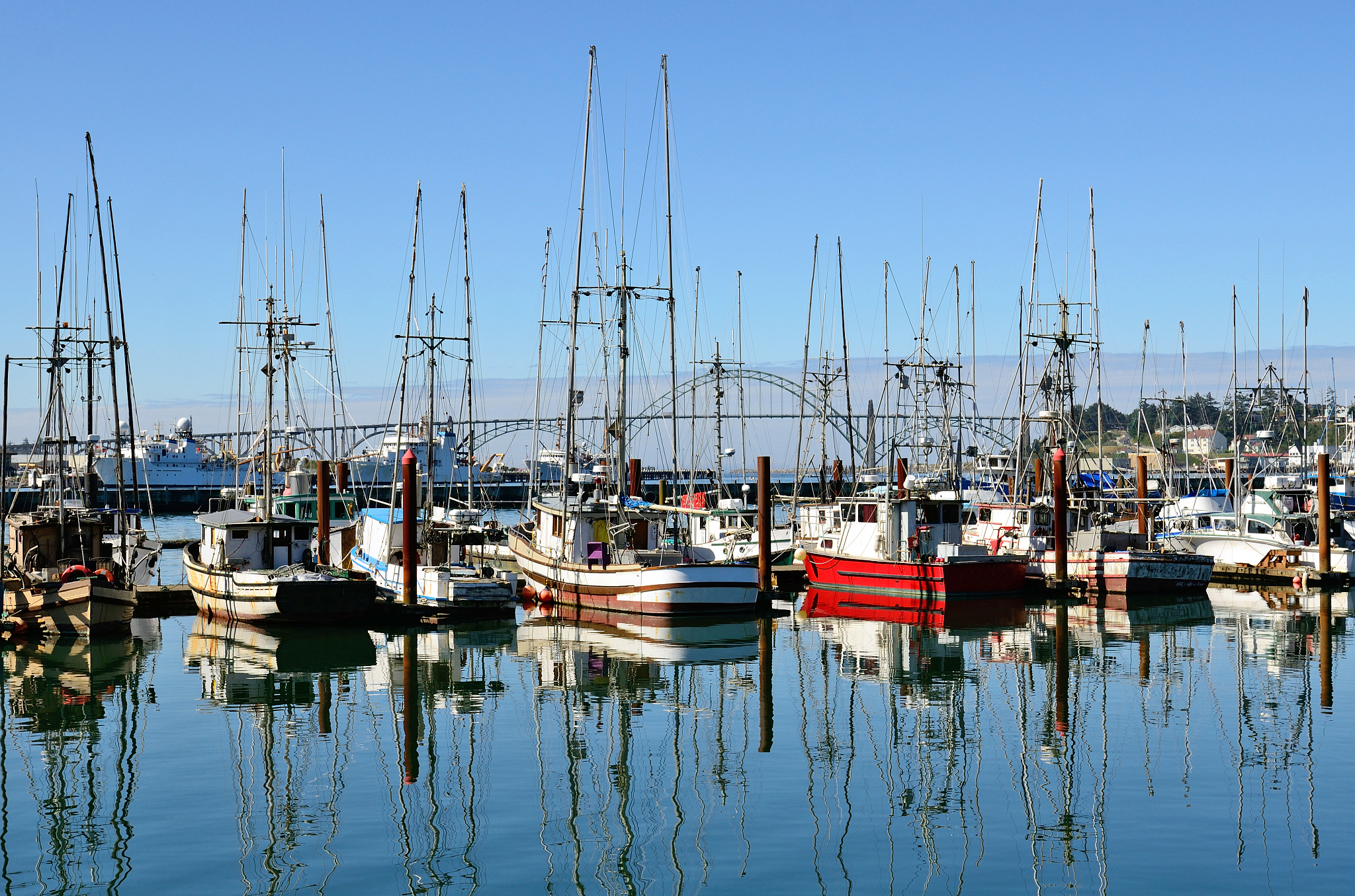 newport water