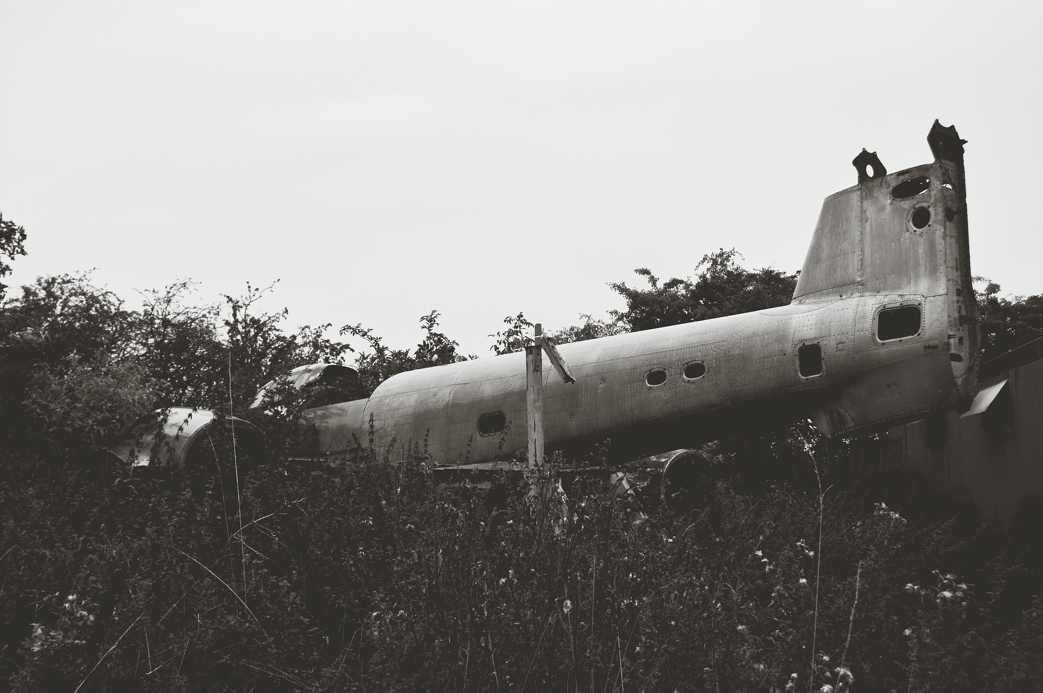 abandoned airplane on grassy field against sky