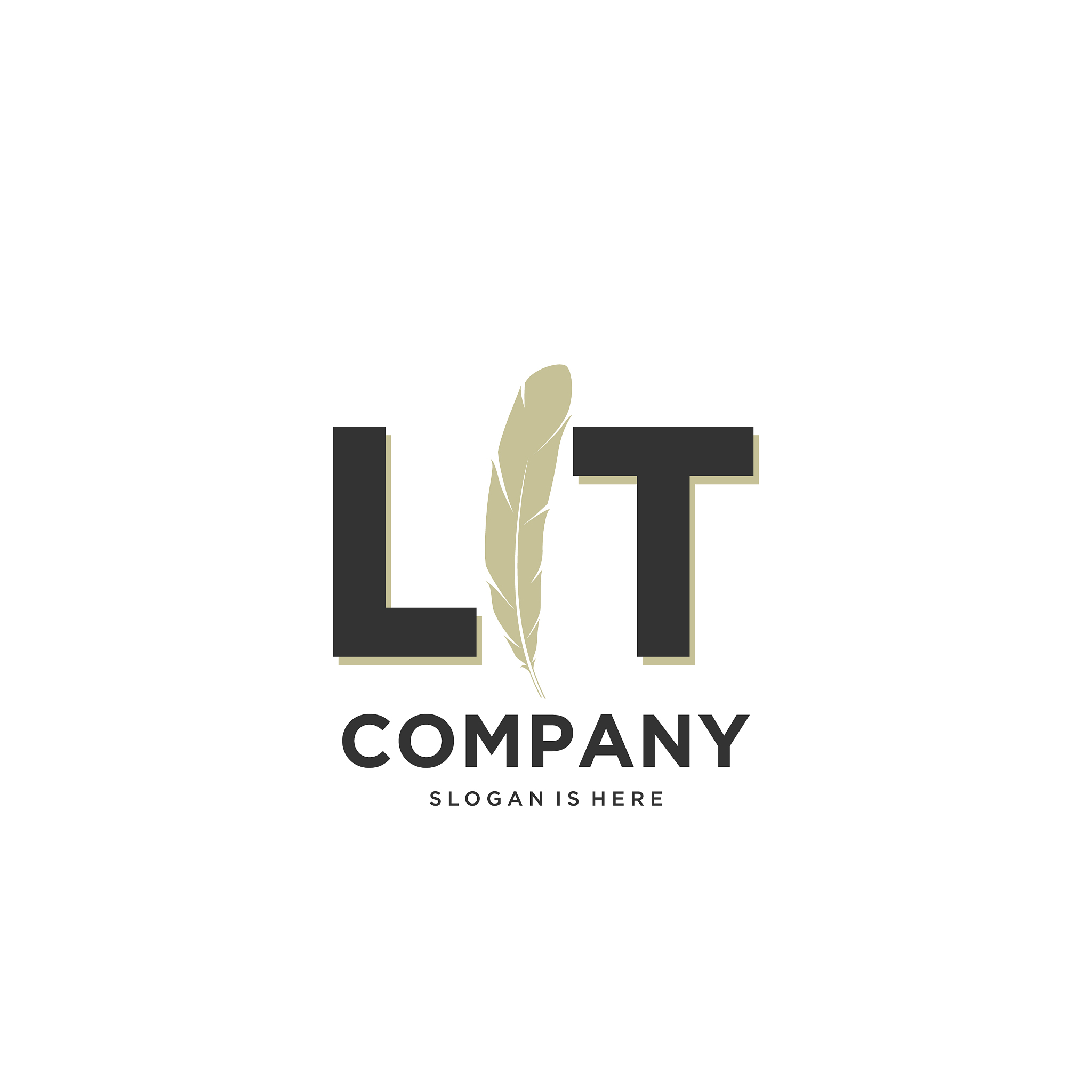 initial lt letter unique attractive creative