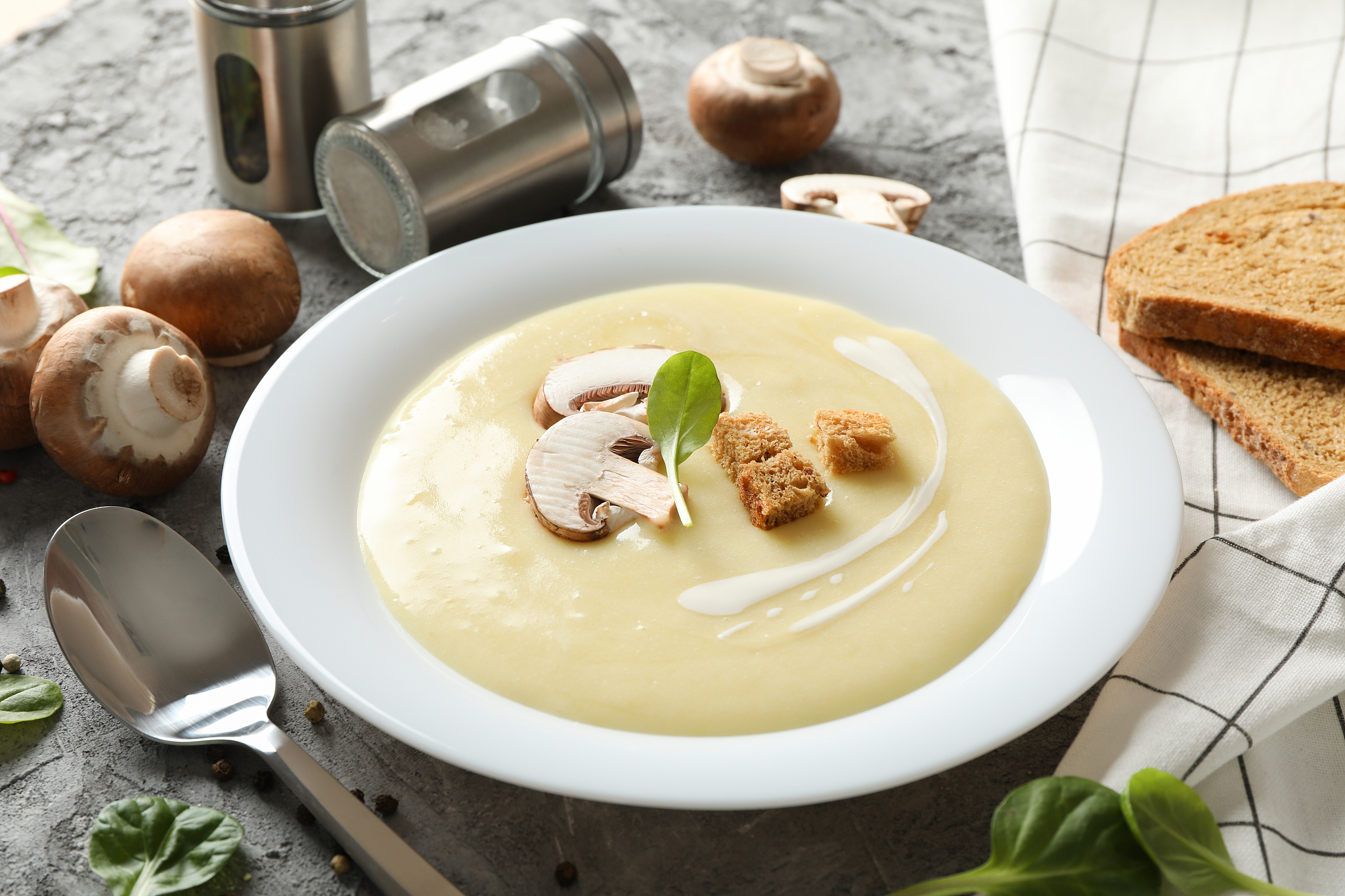 mushroom cream soup and ingredients on grey background, close up
