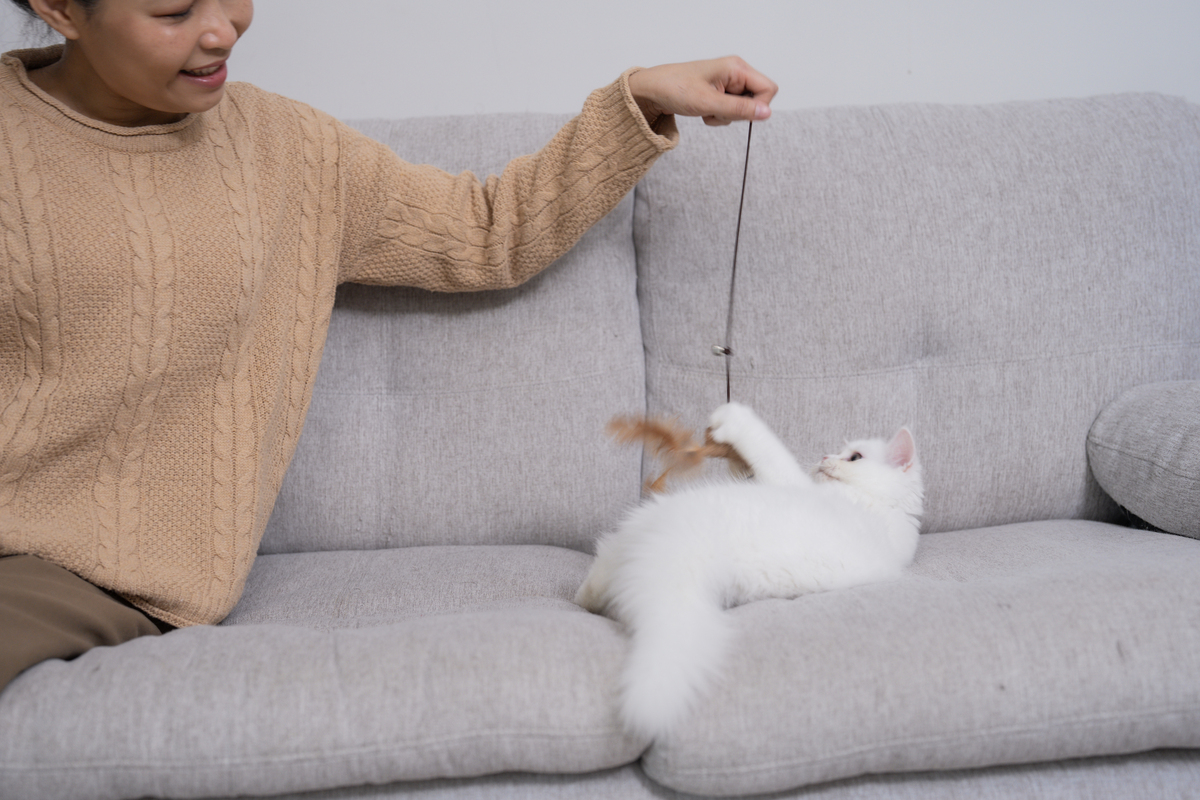 10 种可爱的小动物，让你想起温馨的家