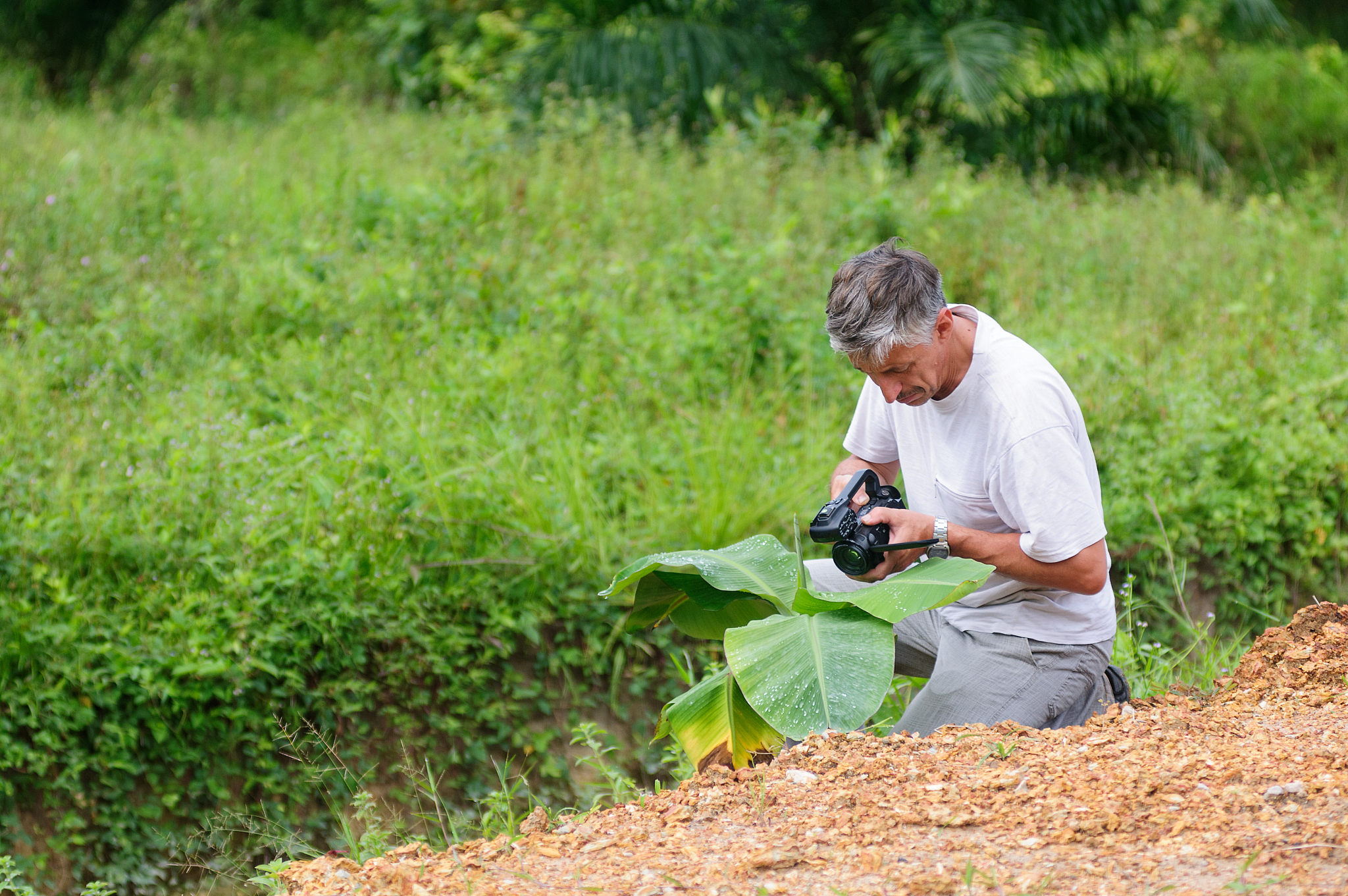 江西泰豪动漫职业学院摄影摄像技术专业如何好学吗