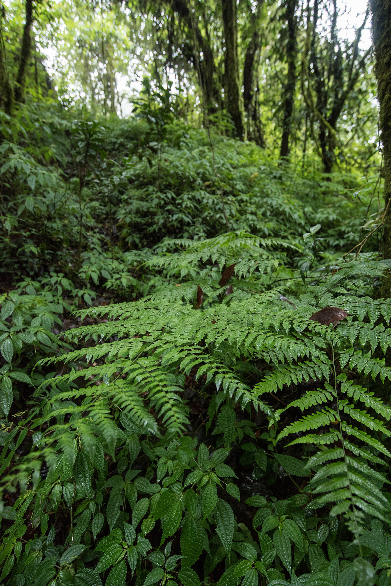 10 Angka Acak 6 Digit - Generator Angka Random