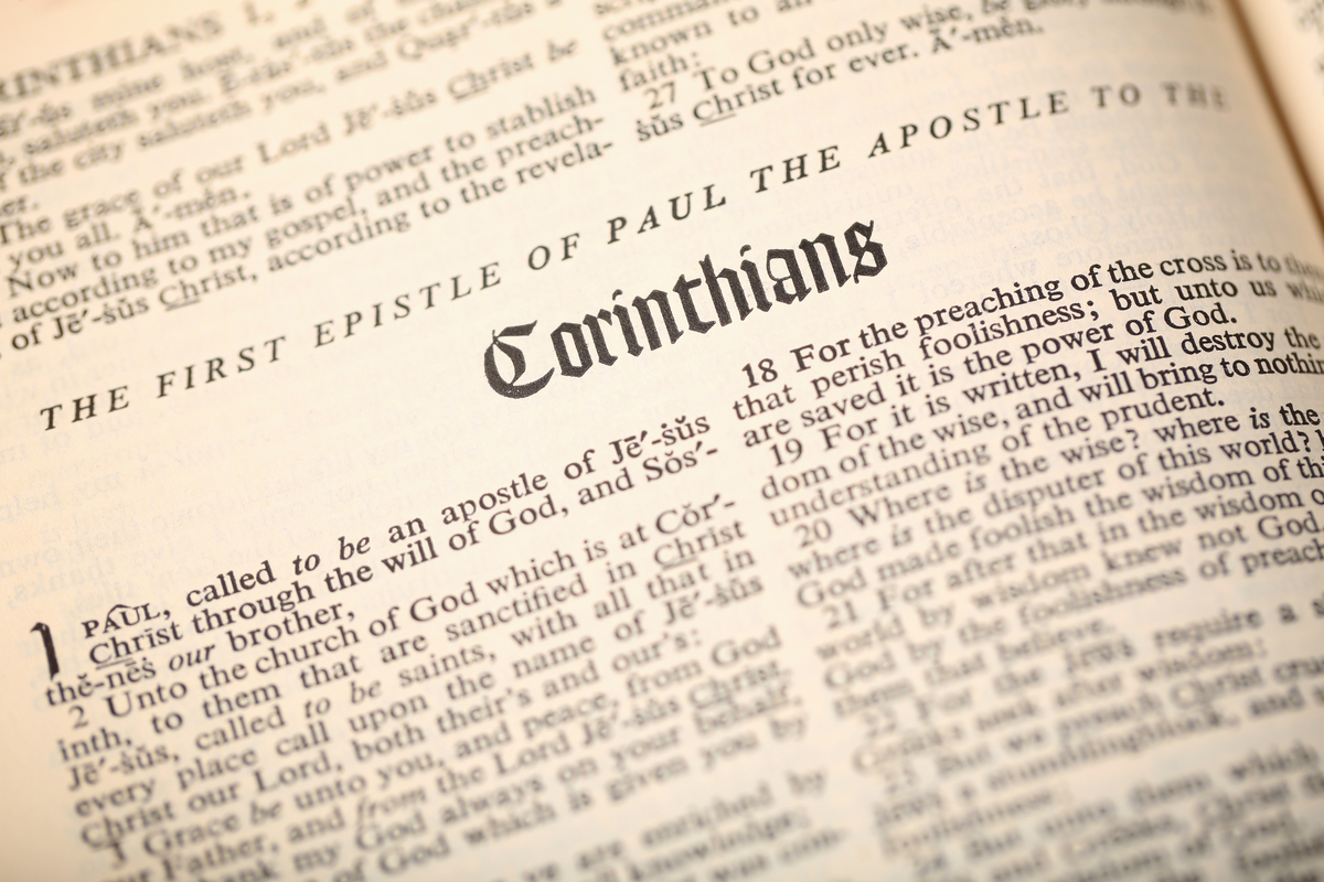 关于英语小说字数为800字