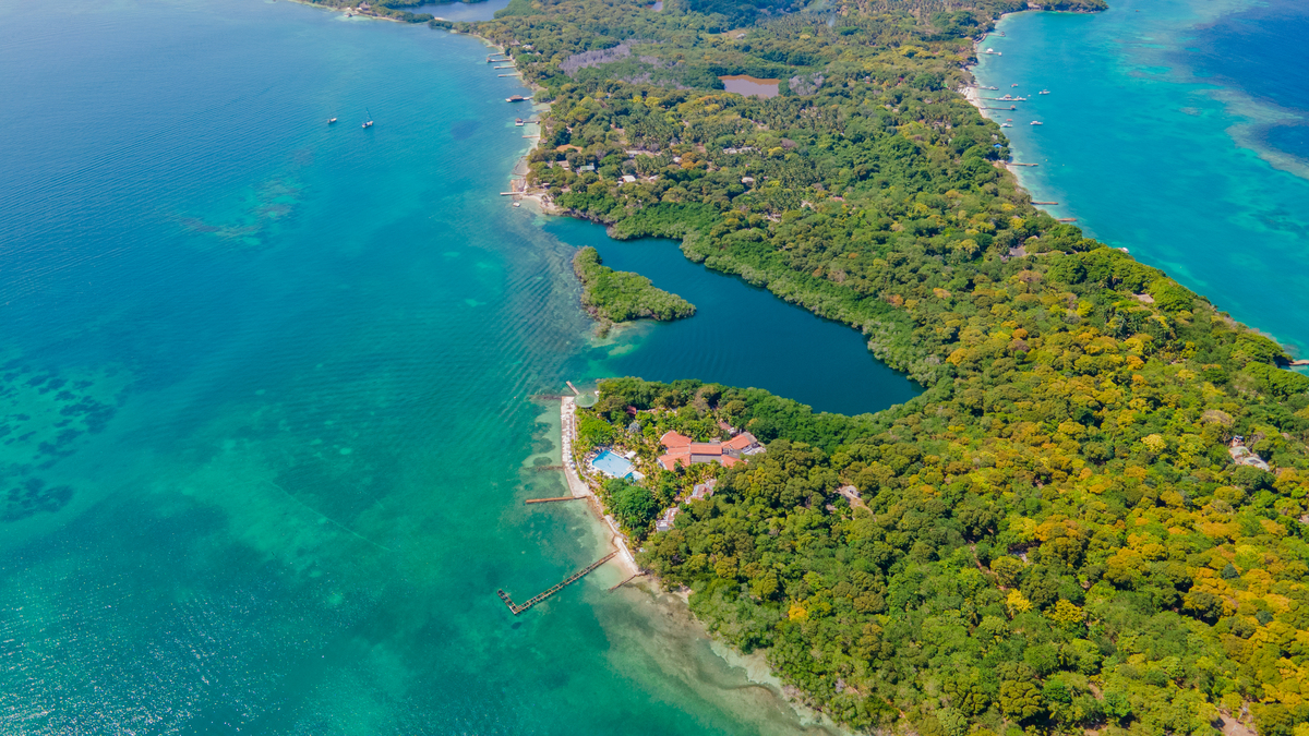 I left Portland jumped between Madeira Hawaii Now just bought property on the beach in Texas