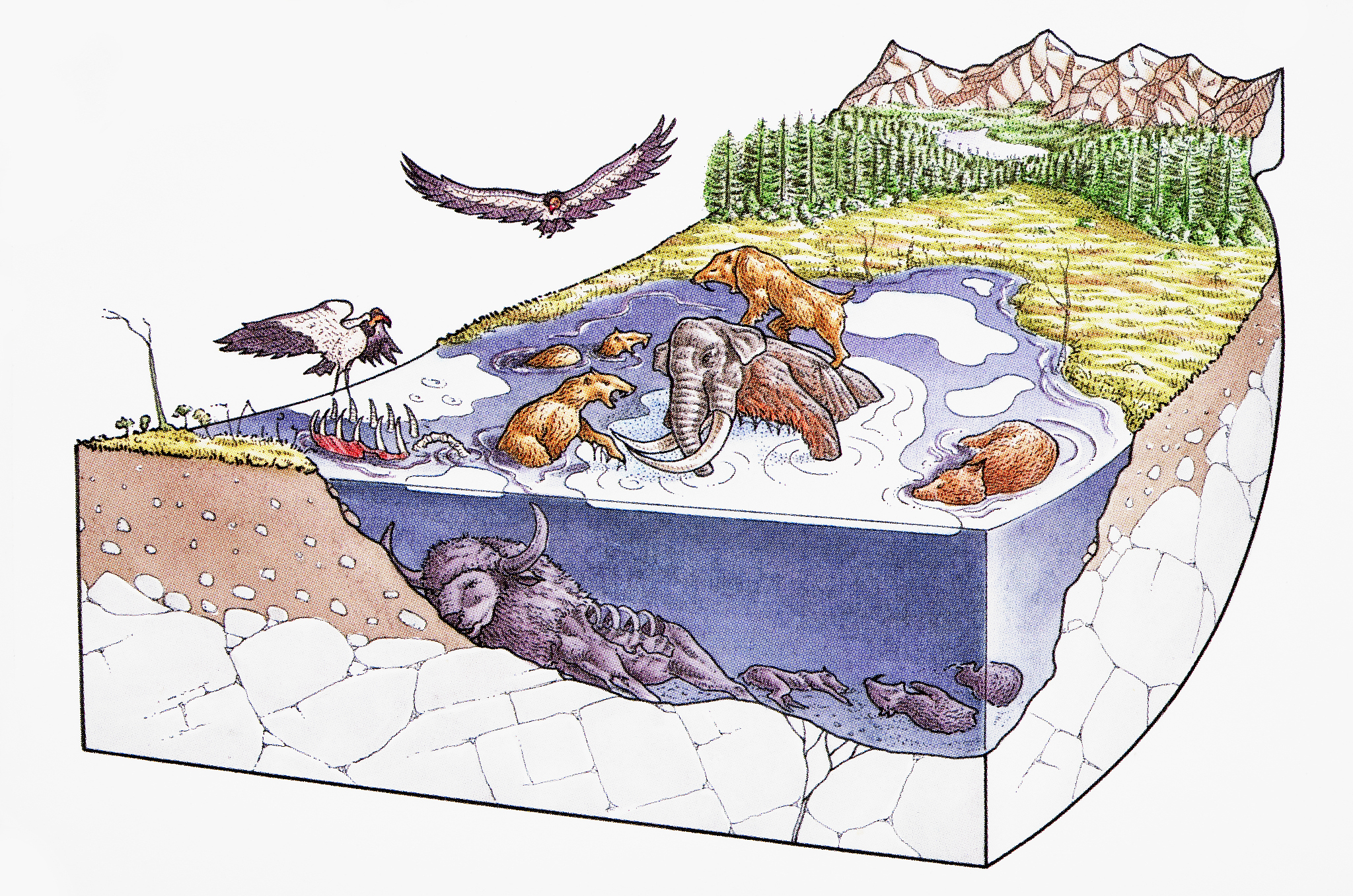 冰水堆积物对坝基渗透影响研究
