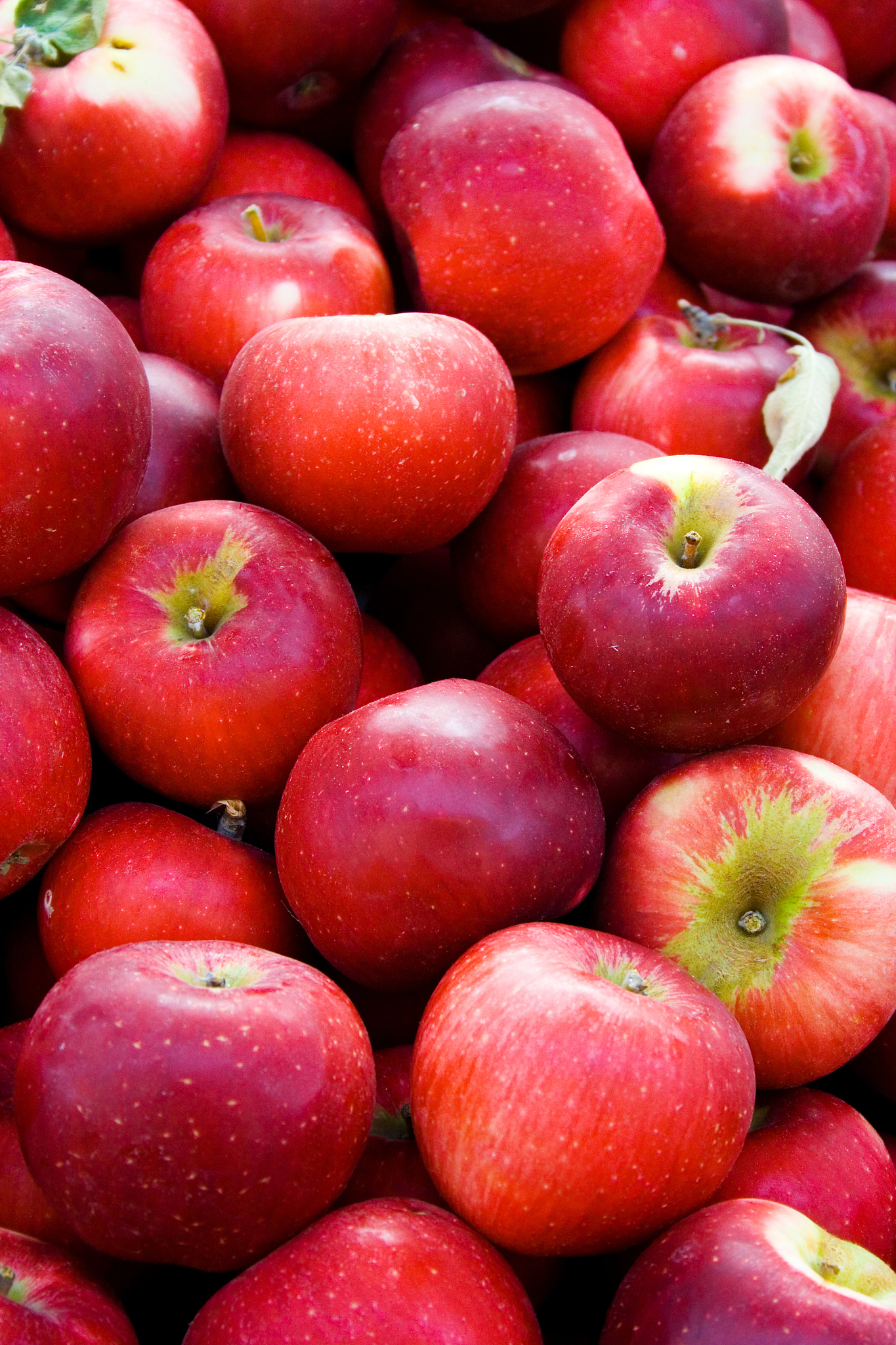 red apple