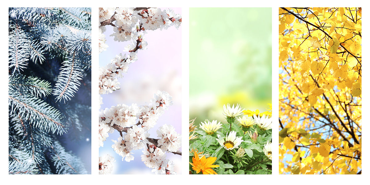 写一段中国小学3年级看的懂的英文短文内容是关于季节的