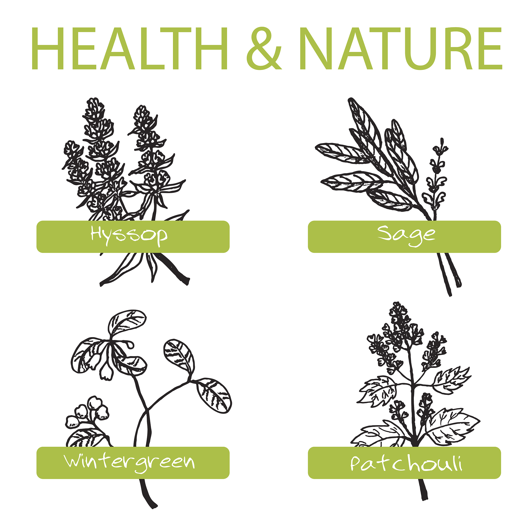 用nature期刊的语言风格翻译以下内容：实验结果显示干旱造成2M、5M、7M三个时期丹参植物MDA含量下降下降程度分别为33、37、39