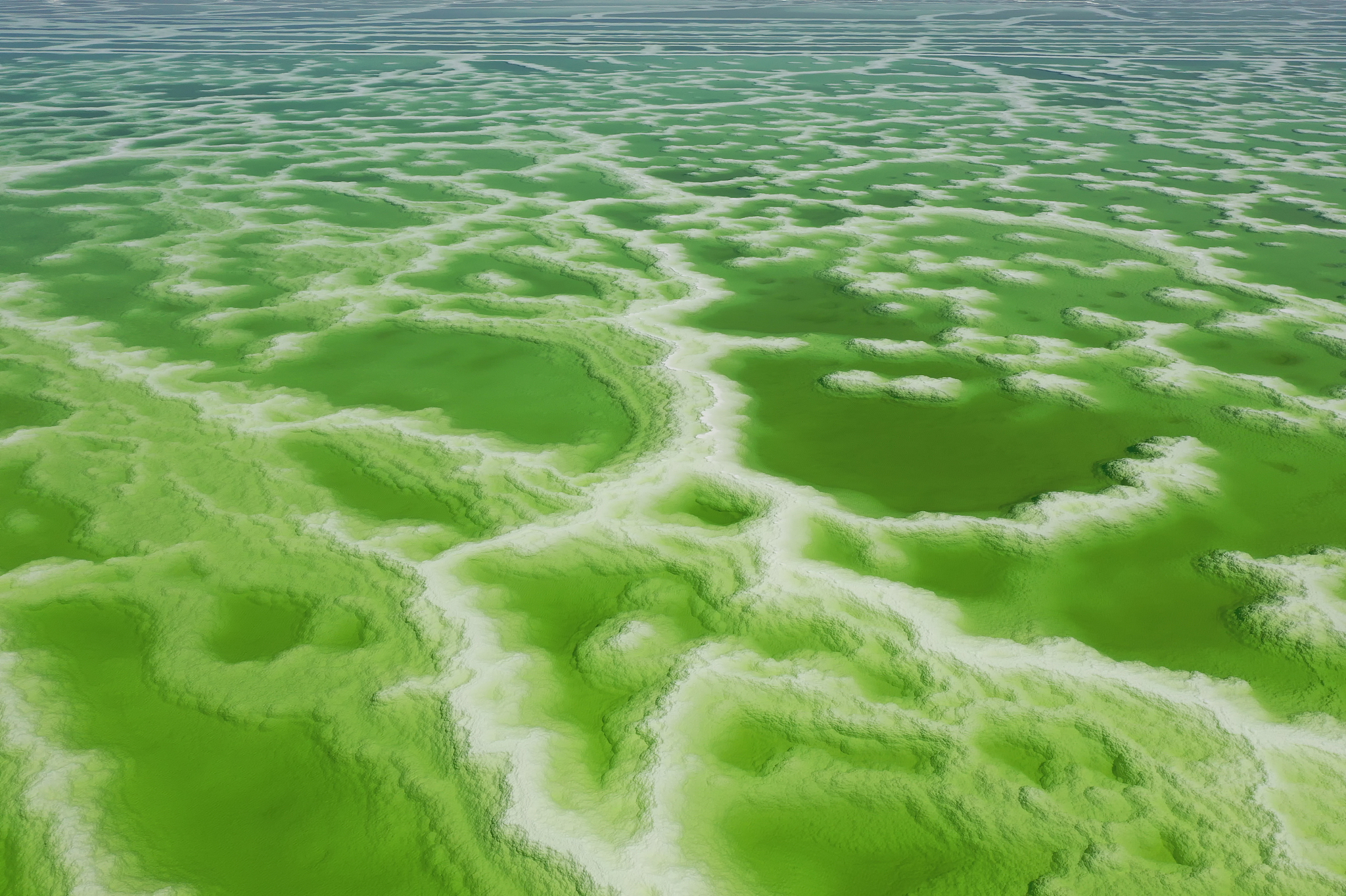 海水灌溉农业的生态效益