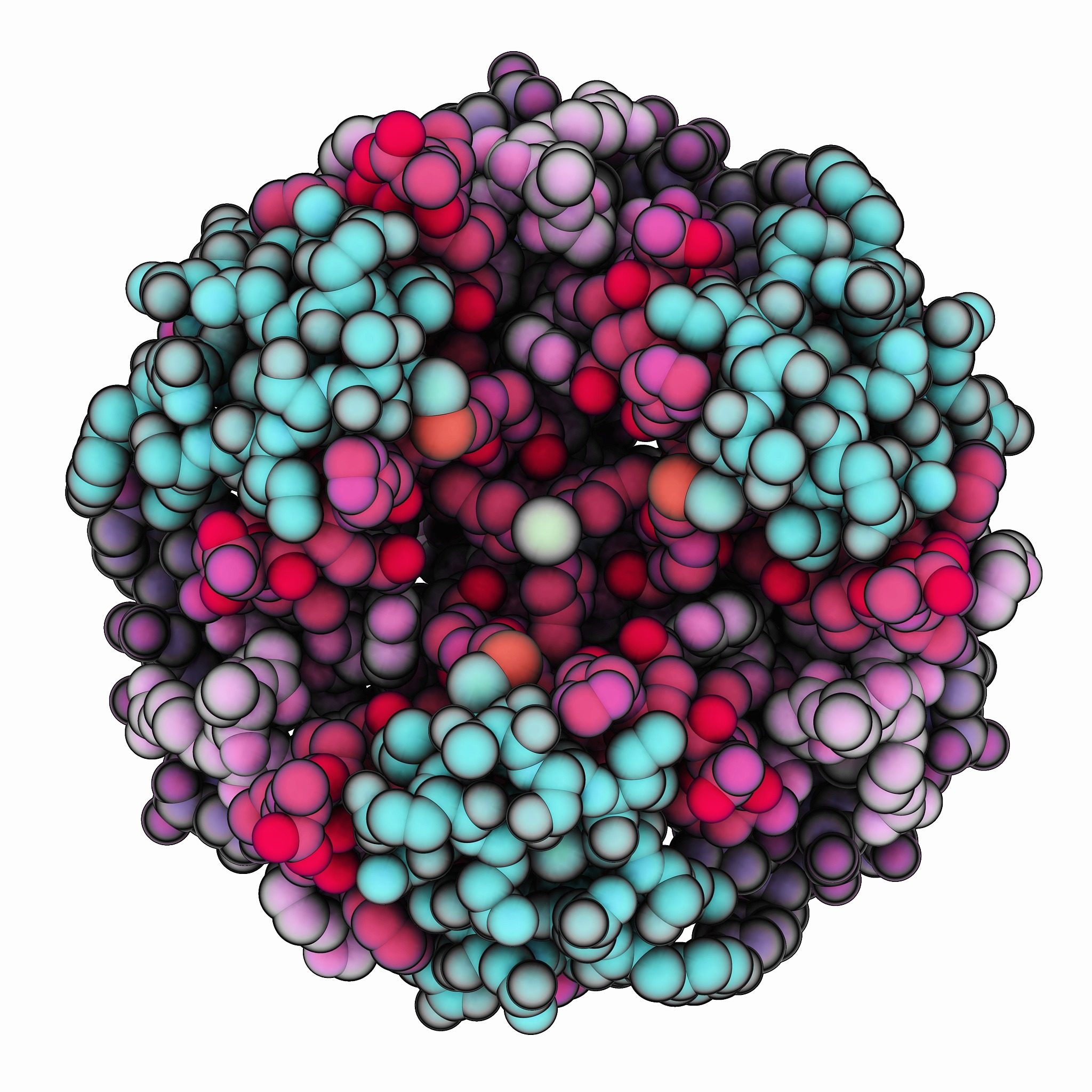 脂联素性能验证方案：ELISA与胰岛素敏感性实验
