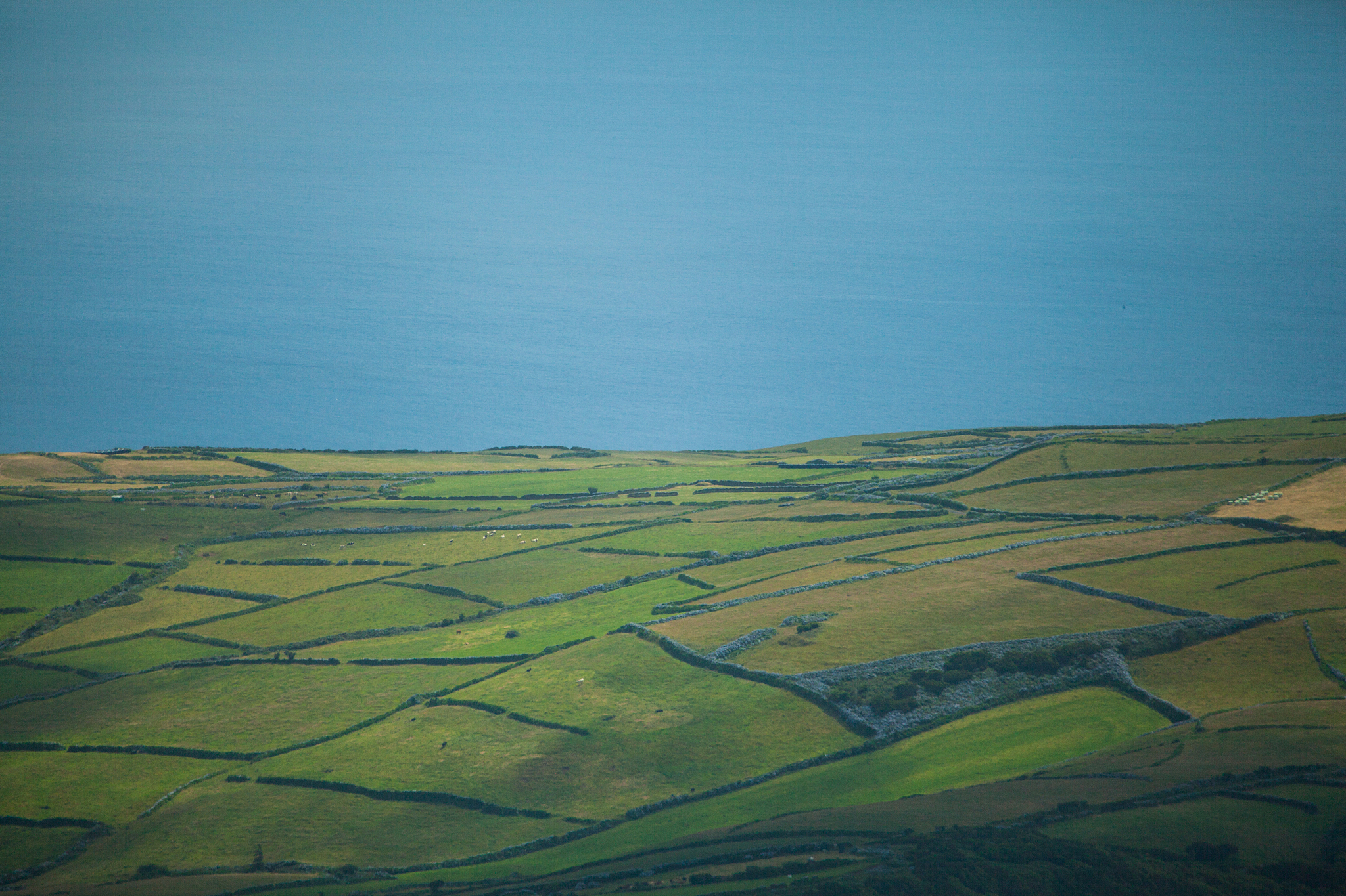 landscape on faial island