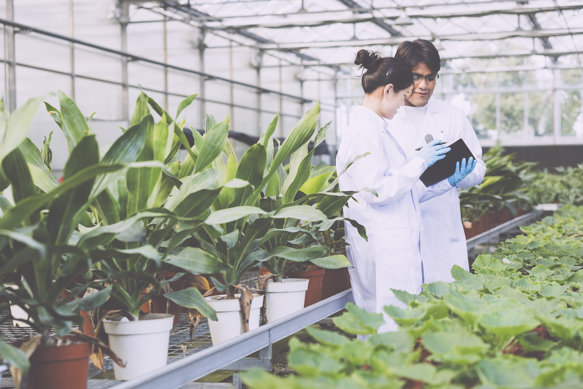 潍坊工程职业学院植物保护与检疫技术专业可以选择哪些就业方向