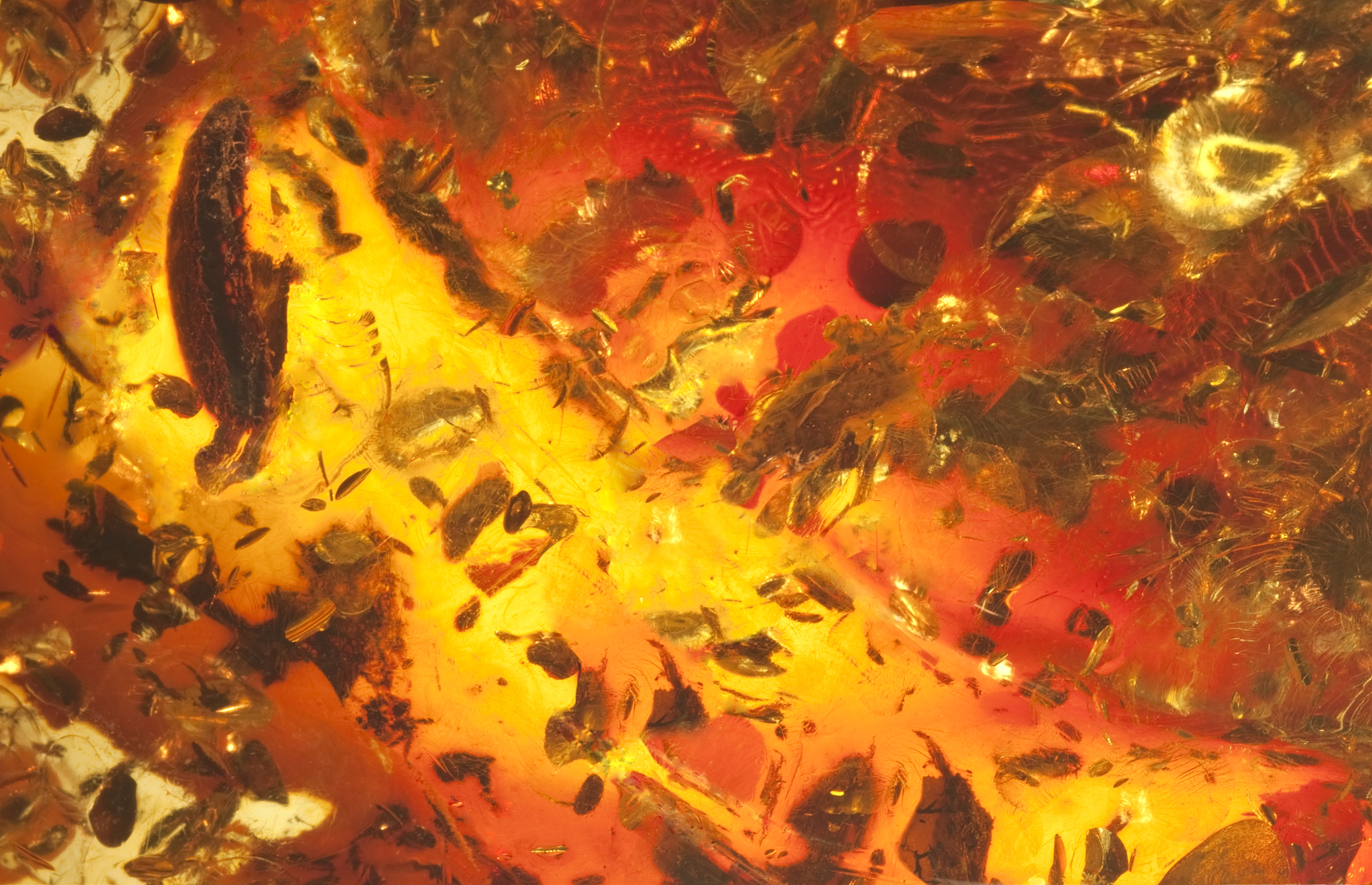 流放之路21赛季召唤头化石配方回答+拓展