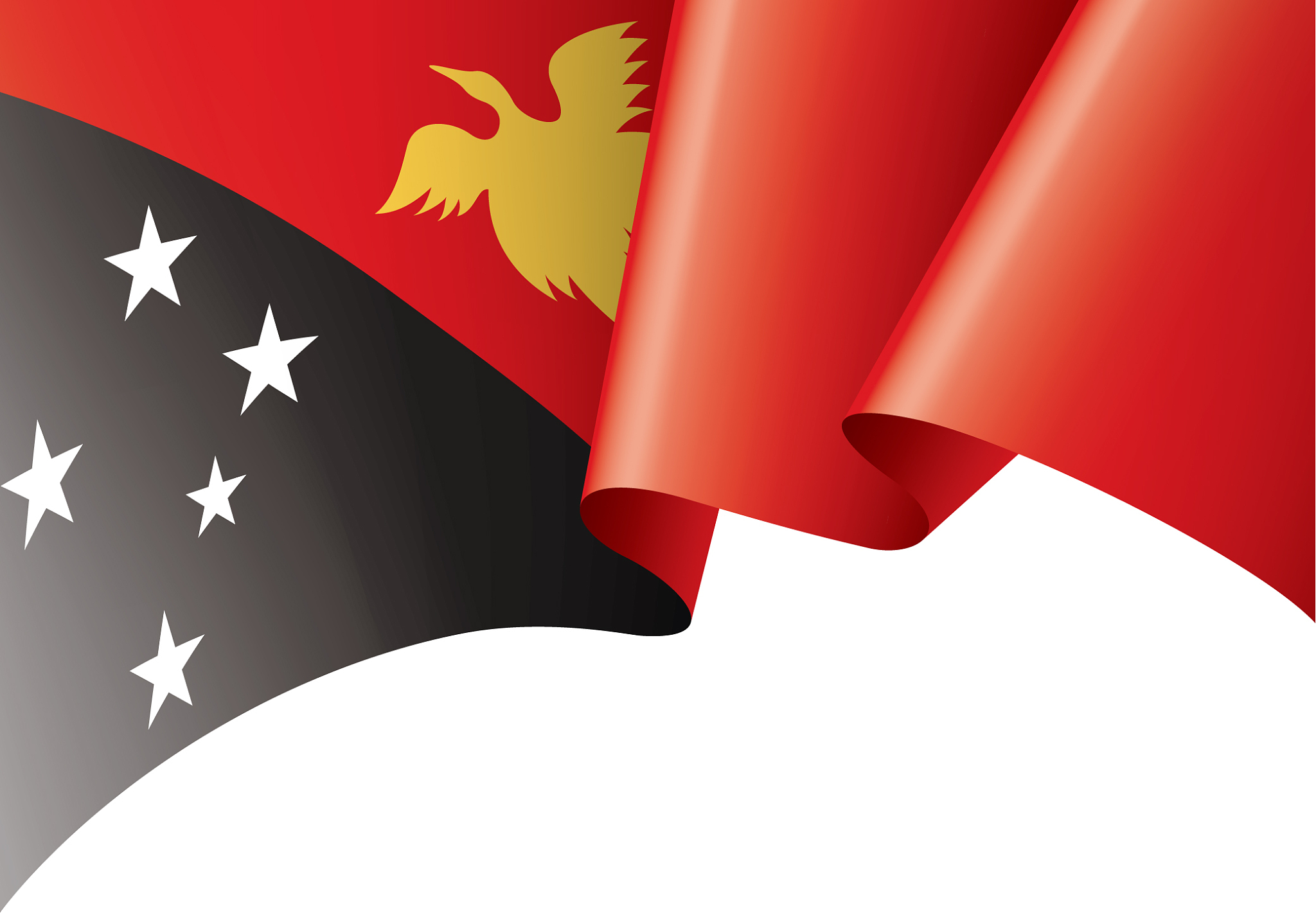 papua new guinea flag on a