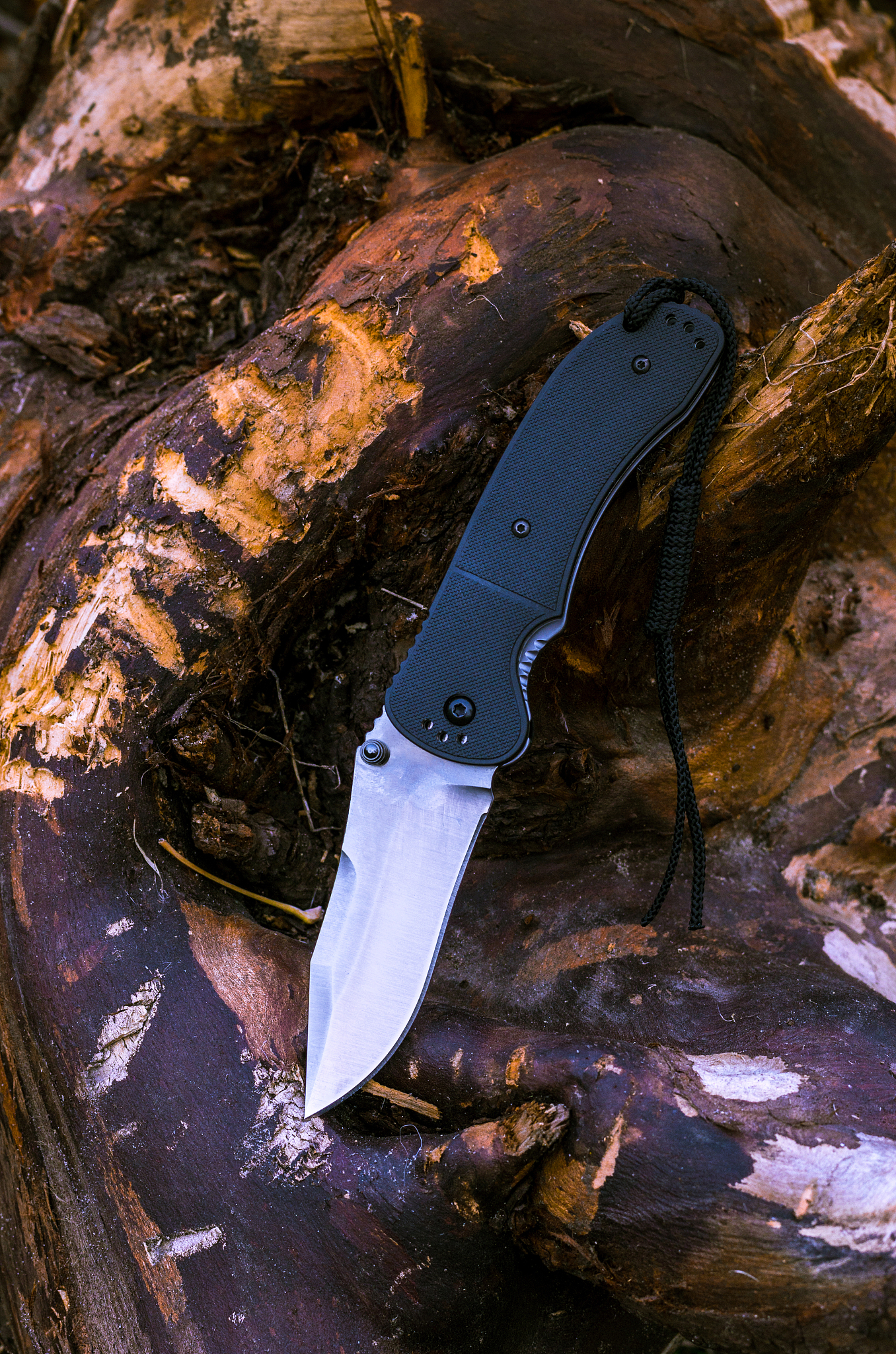 photo knife on the nature. photo of a knife on a tree.